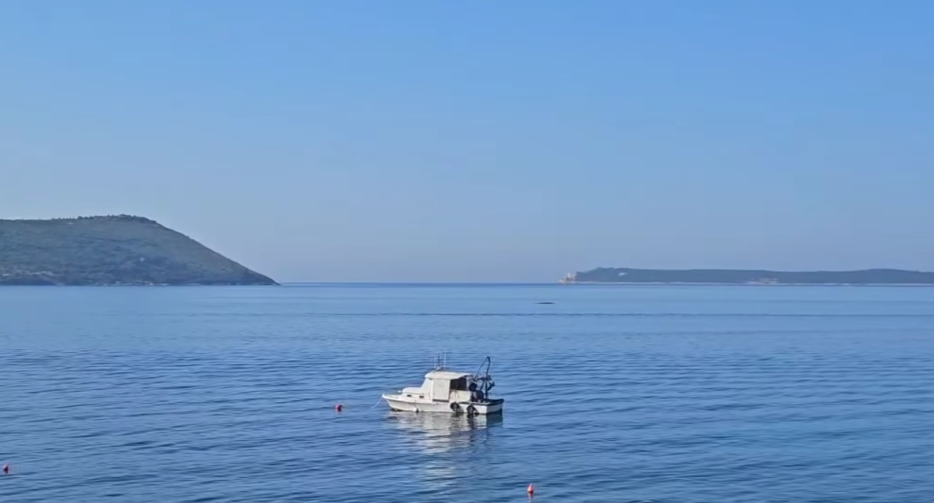 screenshot, Institut za biologiju mora / Institute of Marine Biology