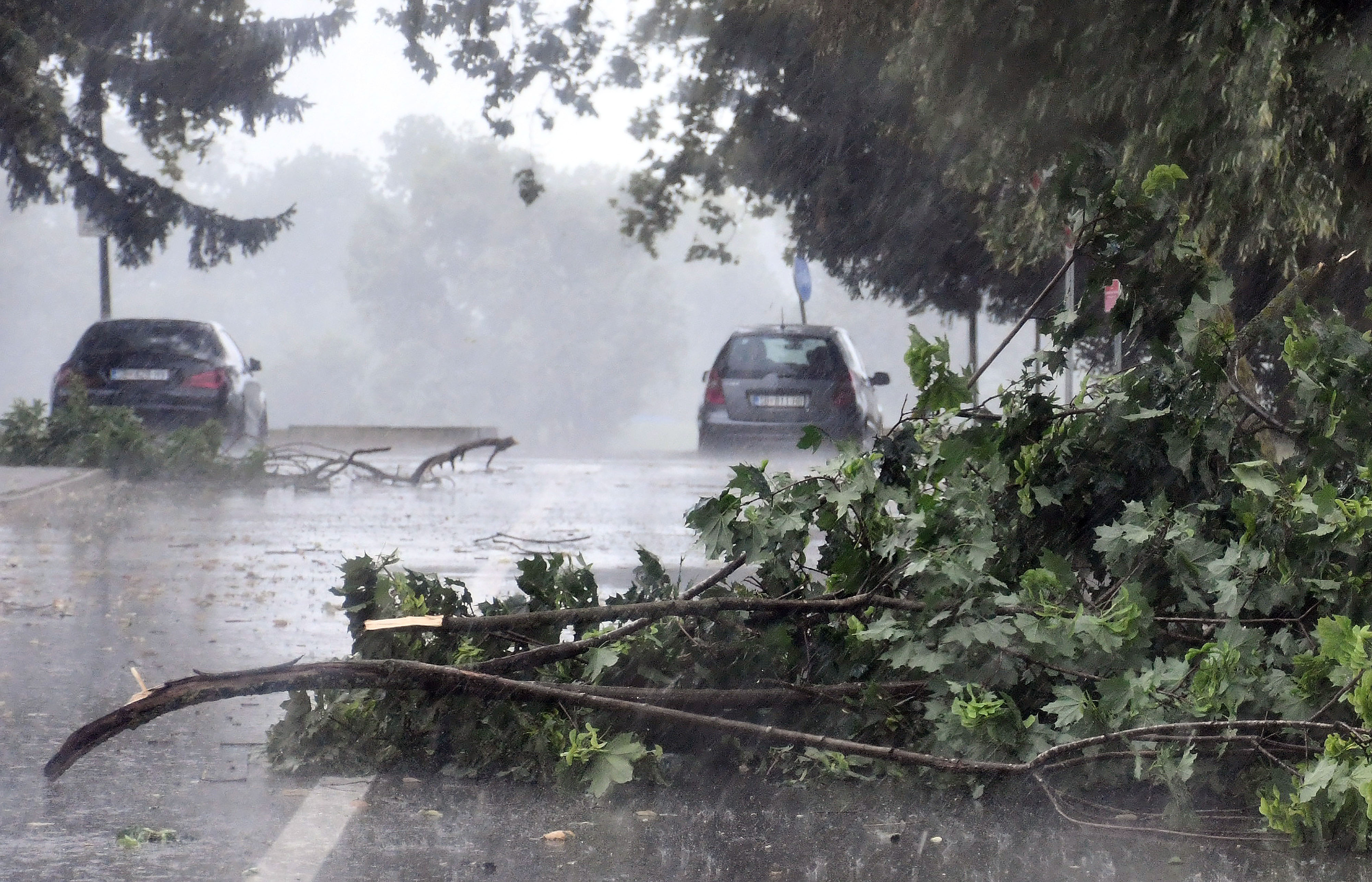 Slavonski Brod: Kratkotrajno snažno nevrijeme lomilo grane drveća u središtu grada