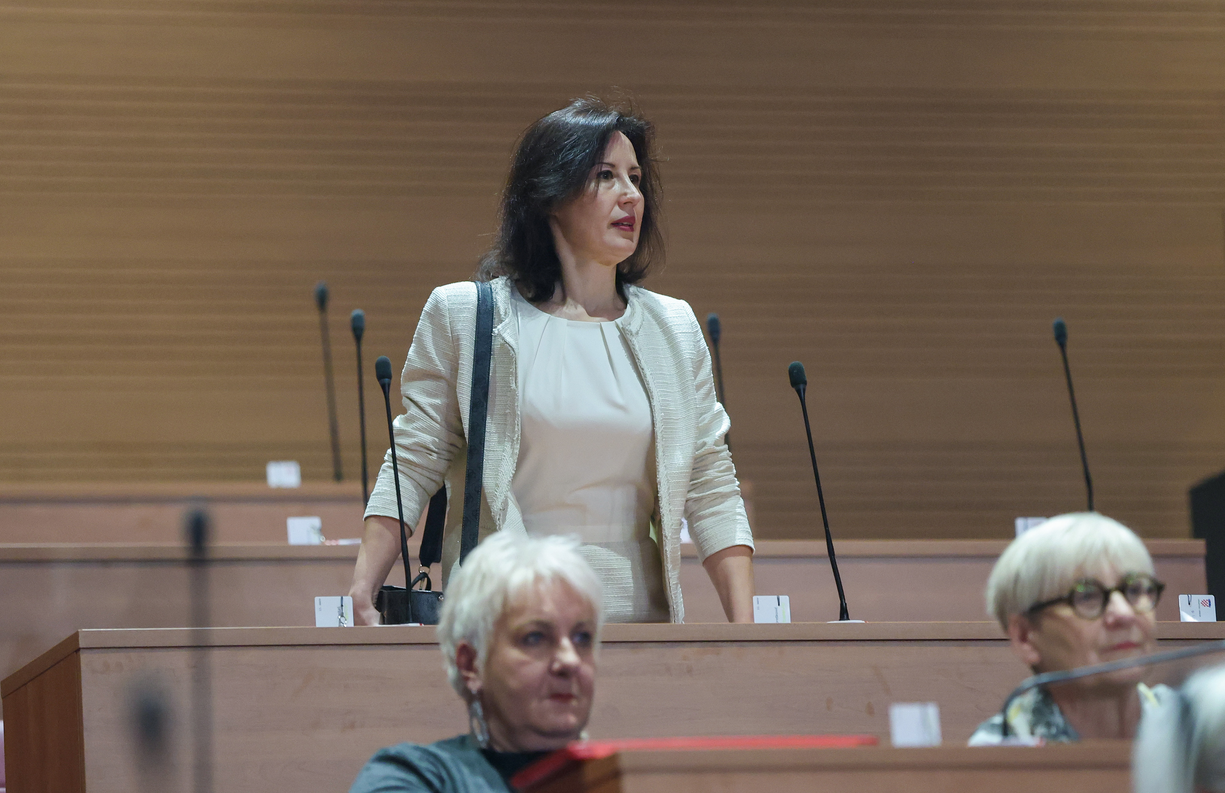 Orešković: Zvonko Bušić je međunarodni terorist