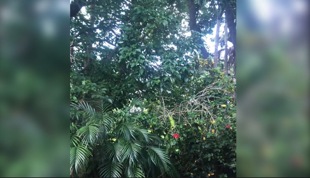 1751977276_high-res-image_24