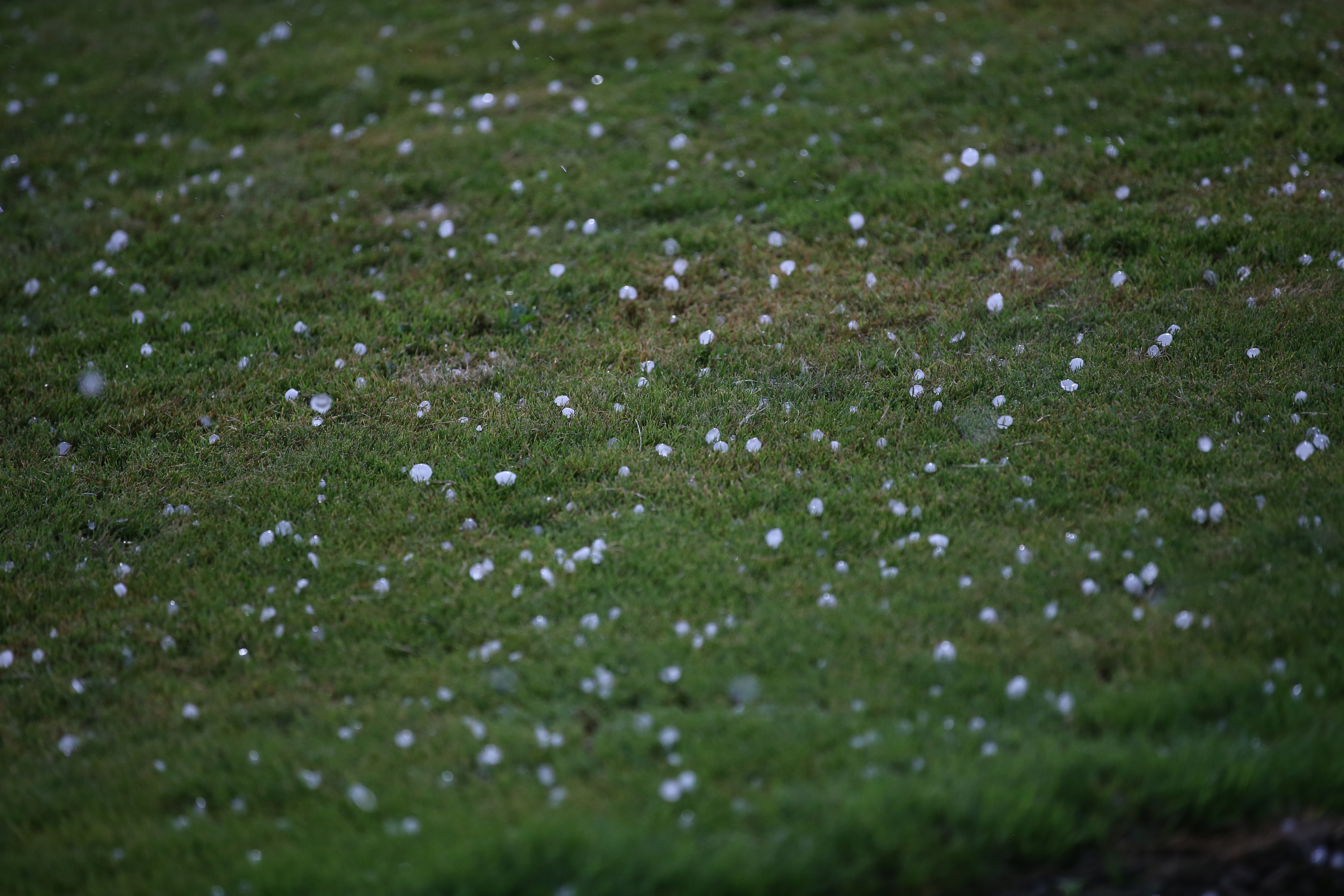 tuča - PXL_130724_117467541