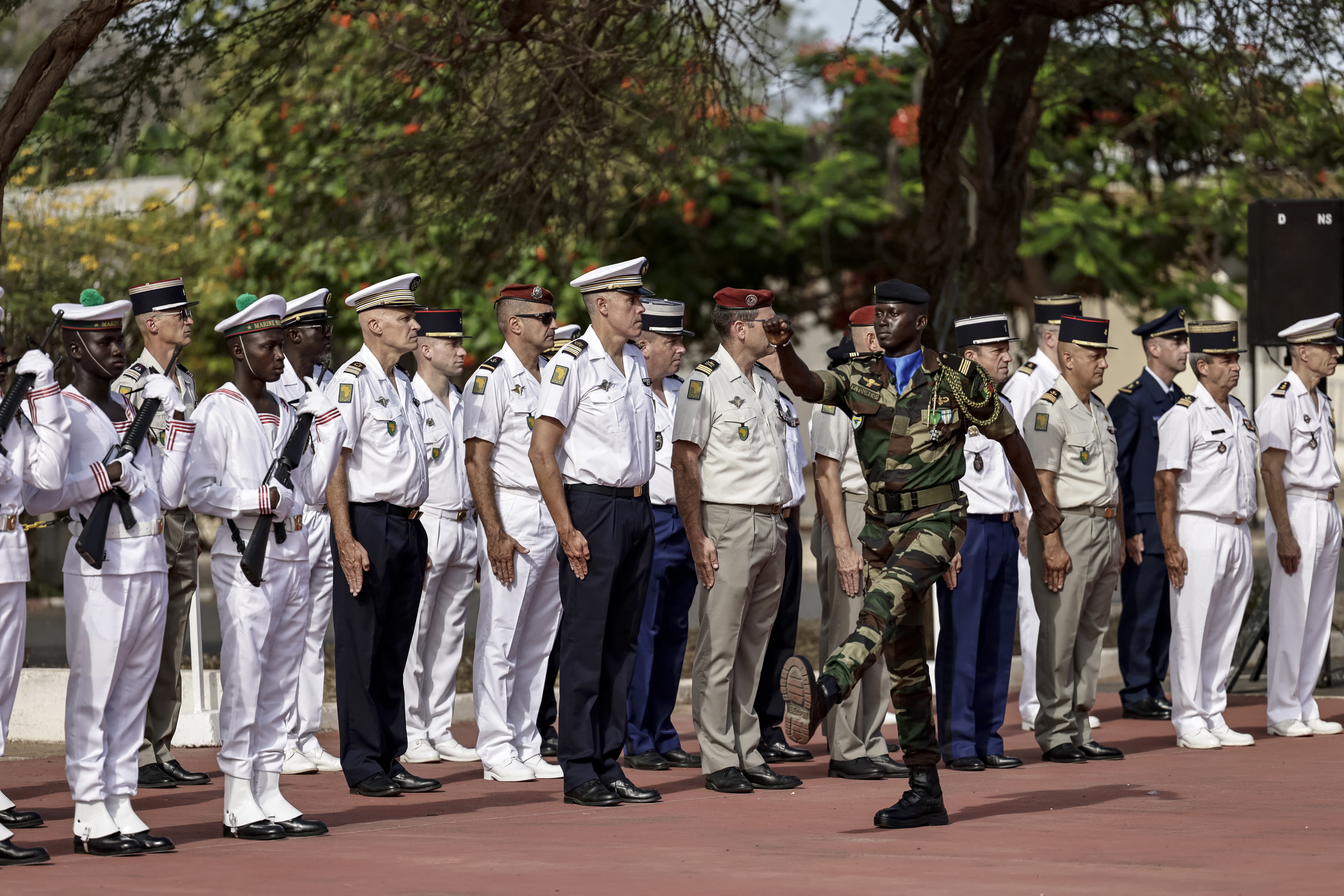 afp, senegal francuska vojska