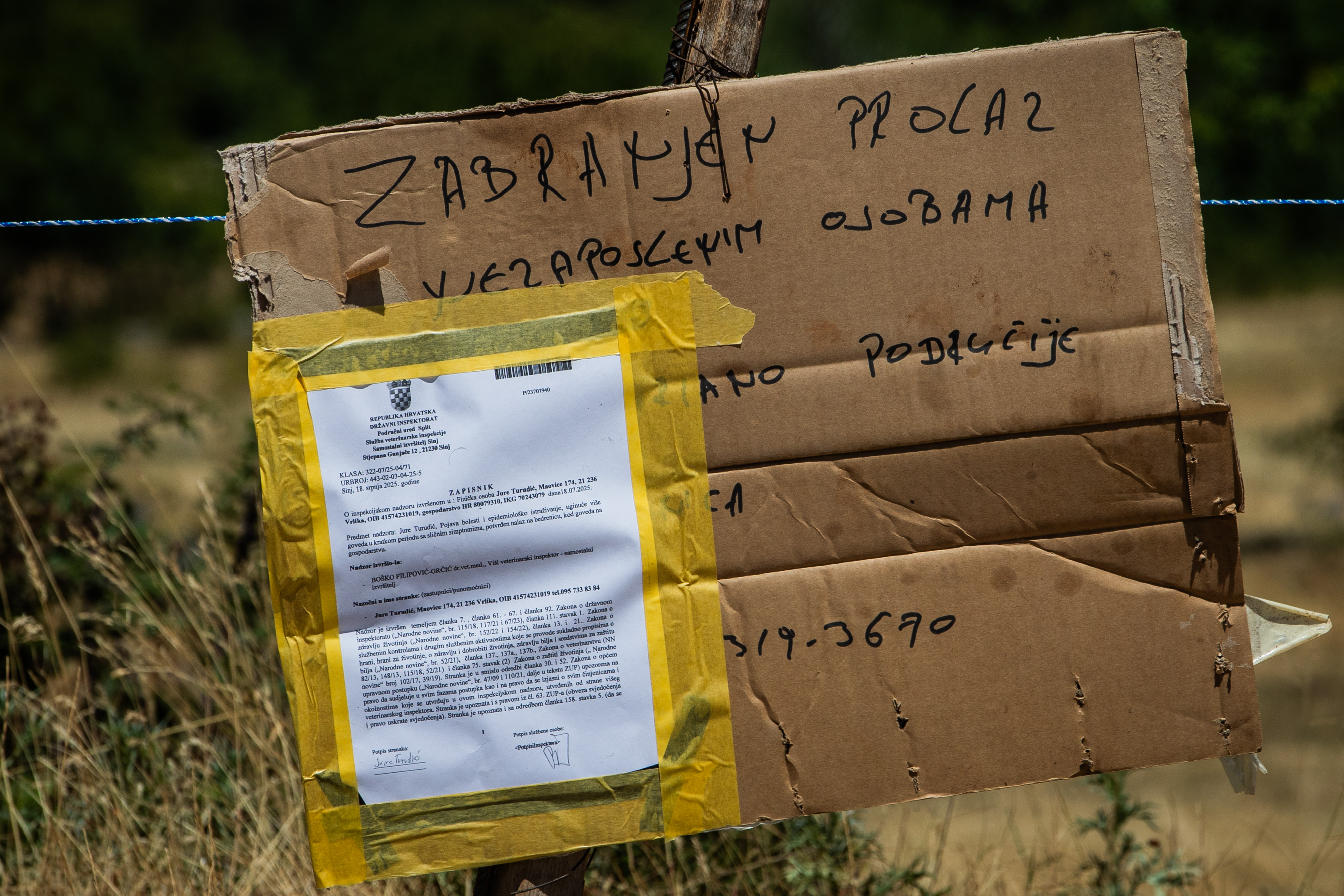 PXL_190725_135685145