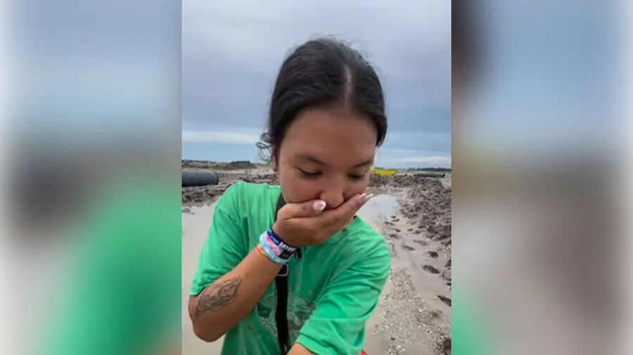 Screenshot_megalodon