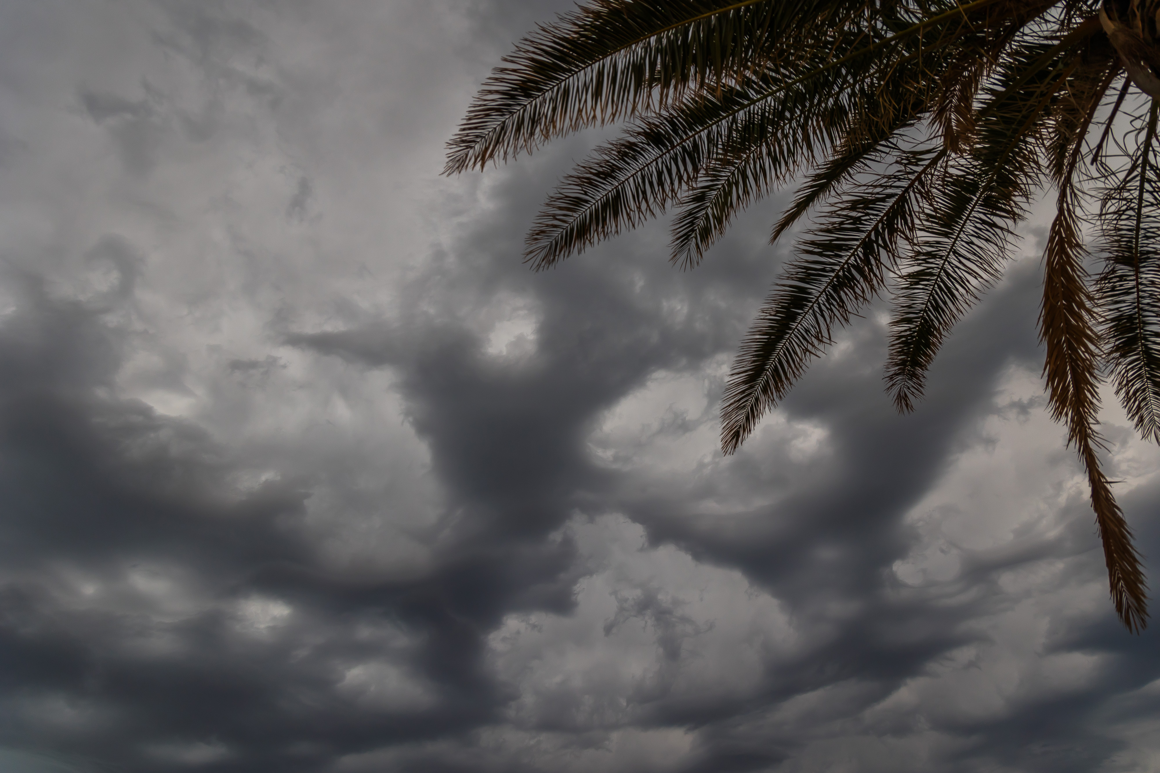 02.08.2025., Novalja - Dolazak olujnog nevremena nad Novalju. Photo: Zvonimir Barisin/PIXSELL/PIXSELL