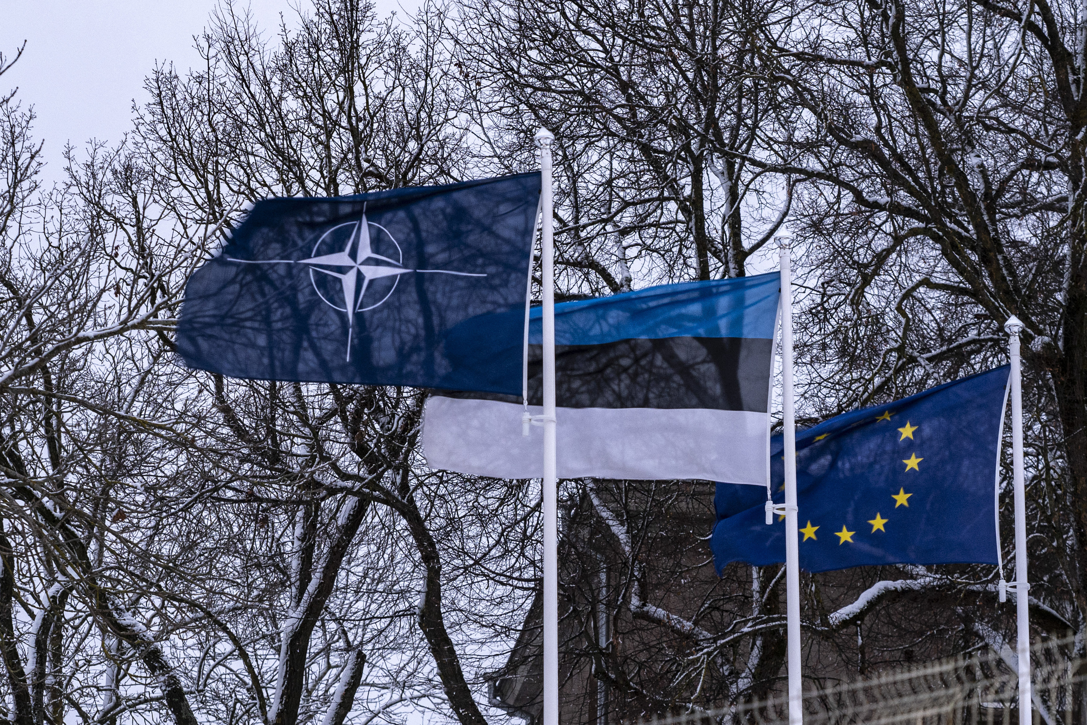 NATO, Estonian and EU flags
