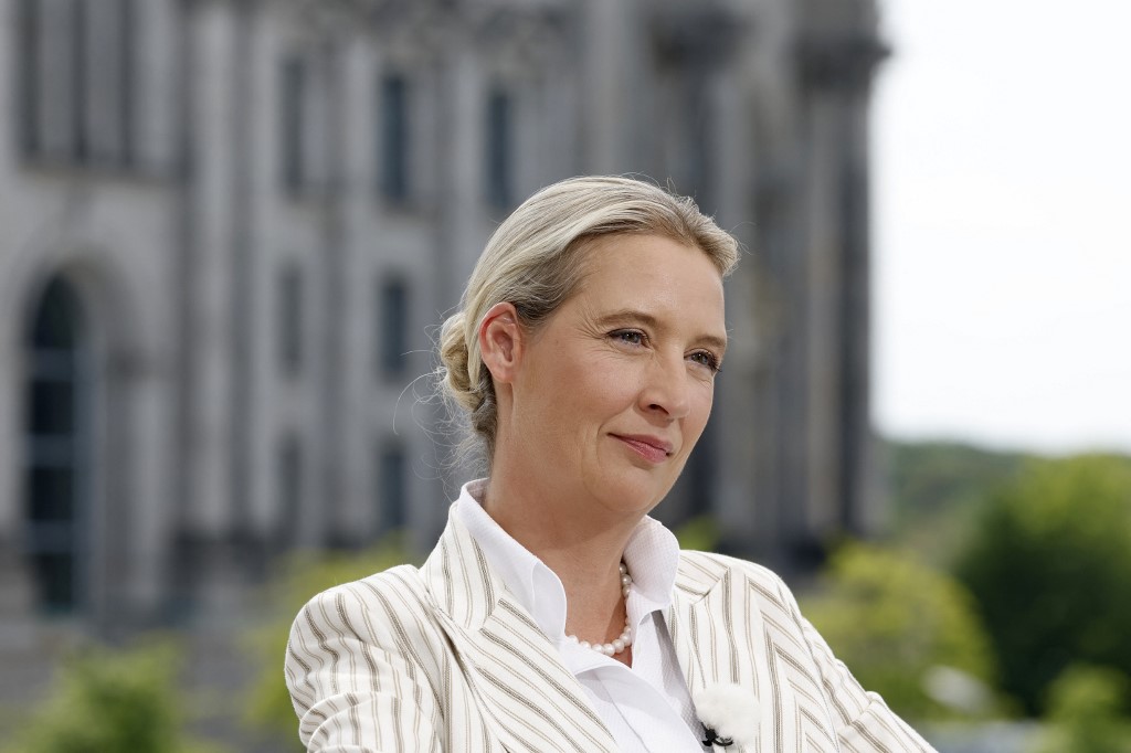 AFP_Alice Weidel