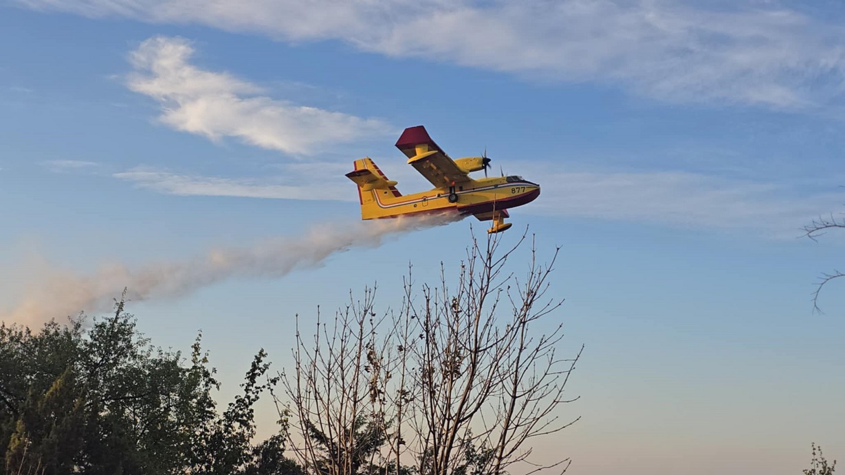 530682124_1439639283745453_6915552061359379692_n