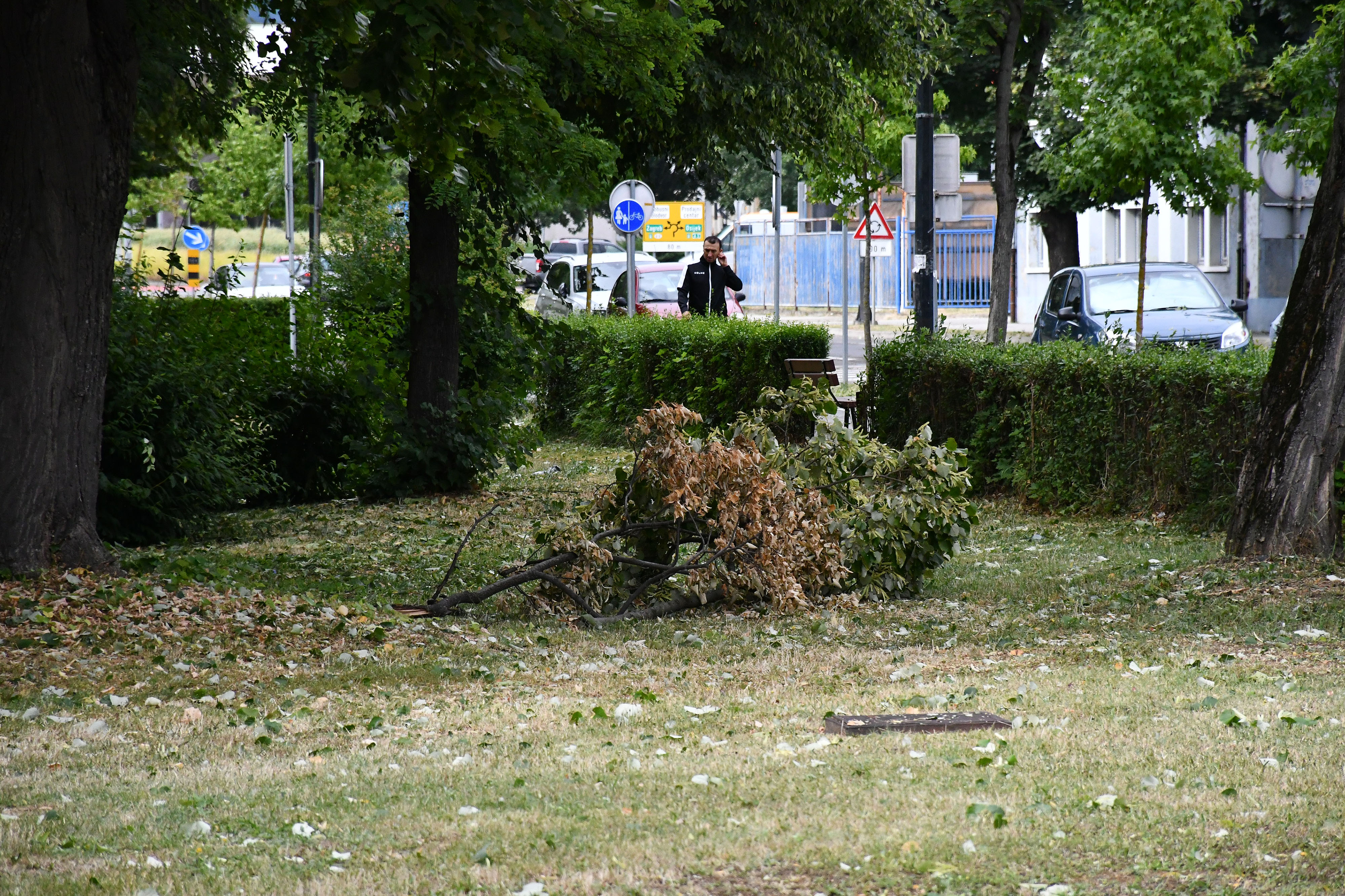 PXL_090725_135311985