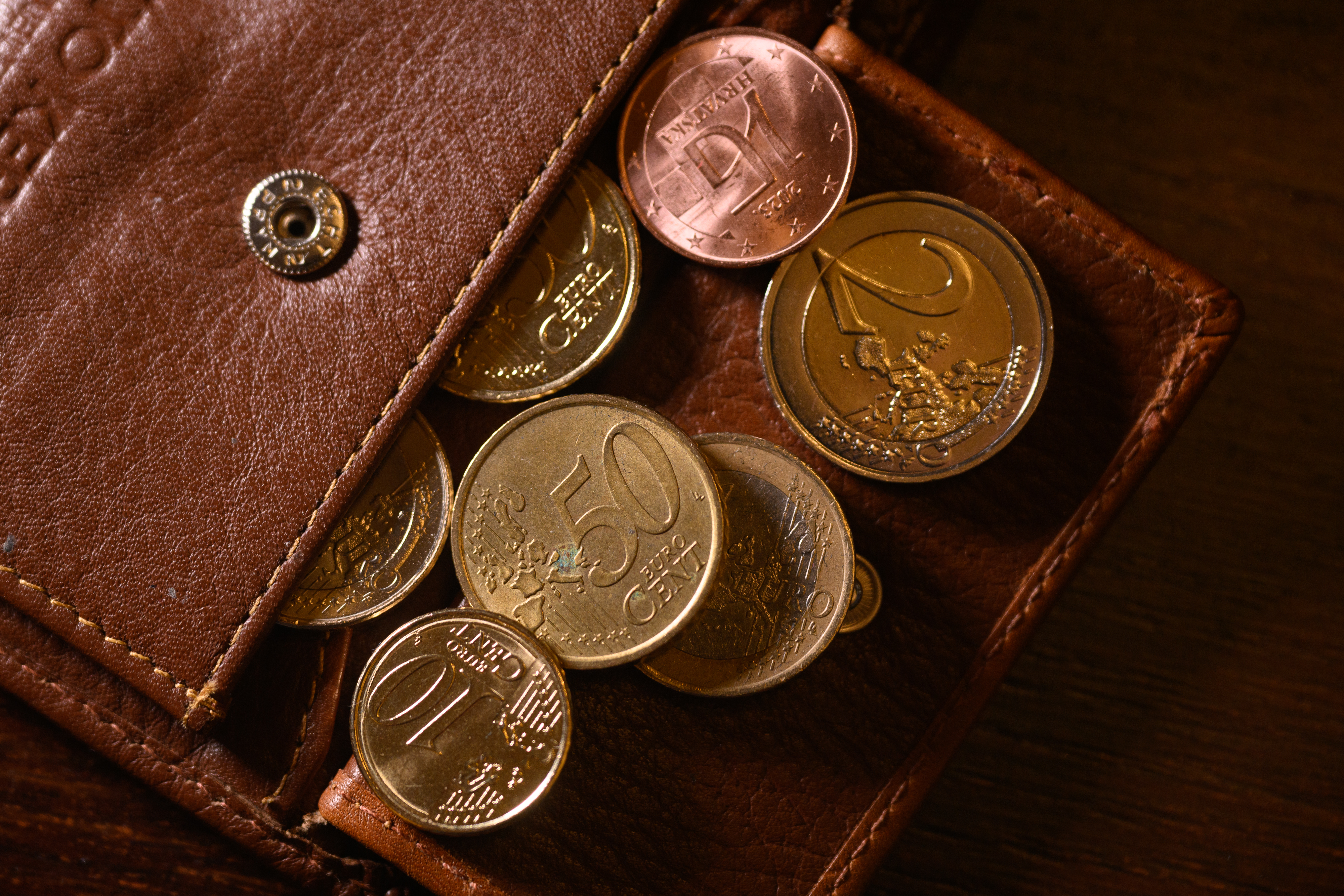 09.01.2023., Zagreb - Ilustracija - Euro. Photo: Davor Puklavec/PIXSELL