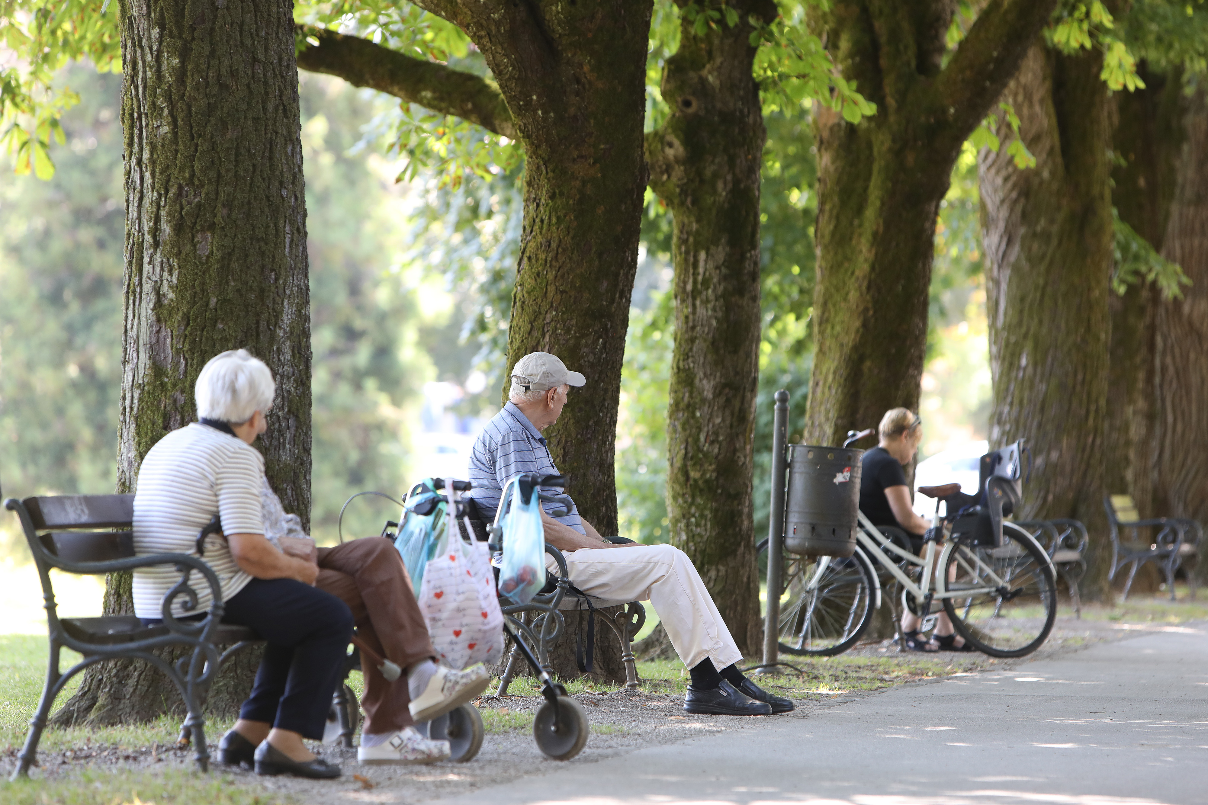 11.07.2025., Karlovac - U hladovini gradskih parkova mnogi traze spas od ljetnih vrucina. Photo: Kristina Stedul Fabac/PIXSELL