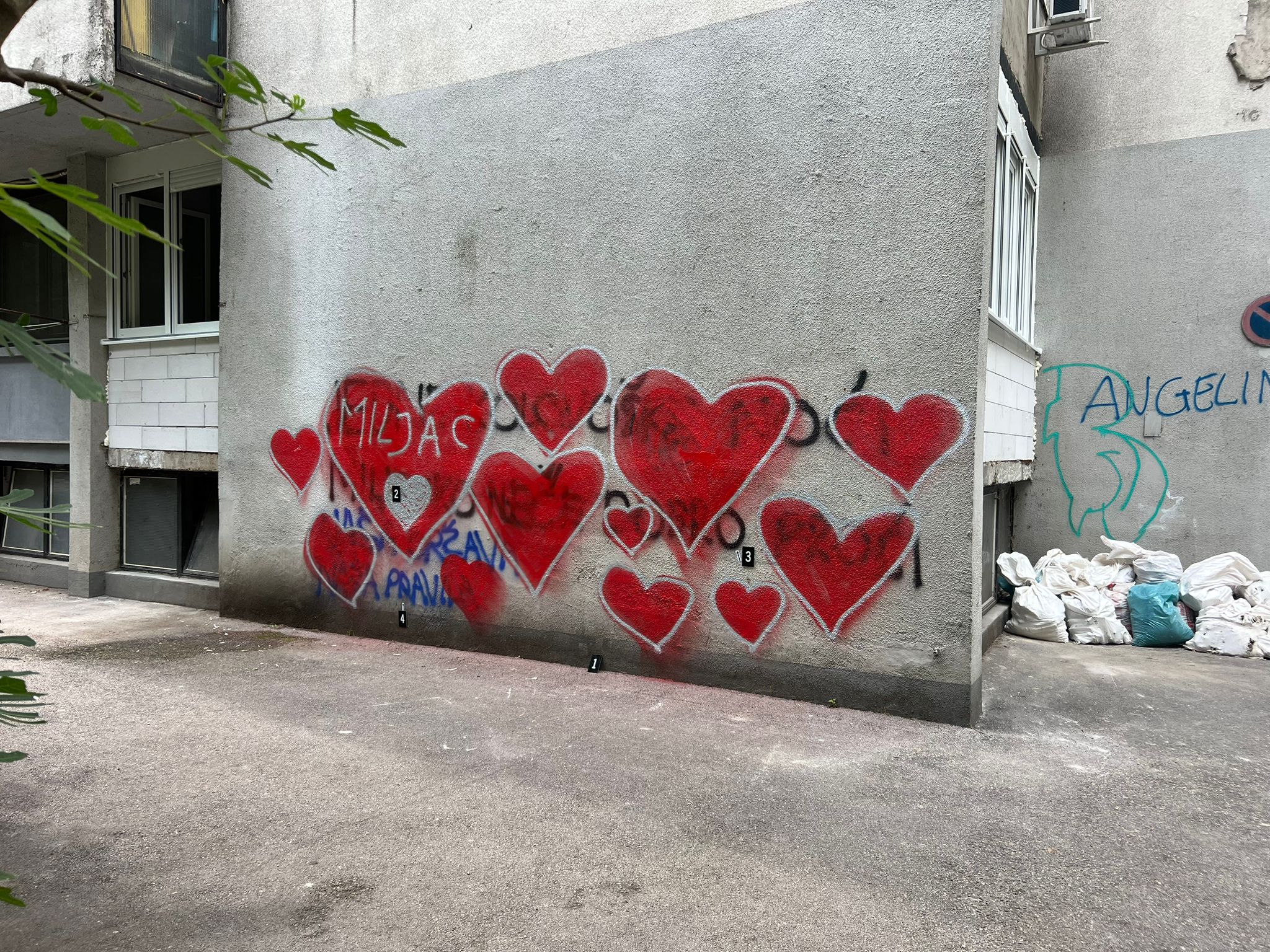 WhatsApp Image 2025-08-29 at 11.05.57