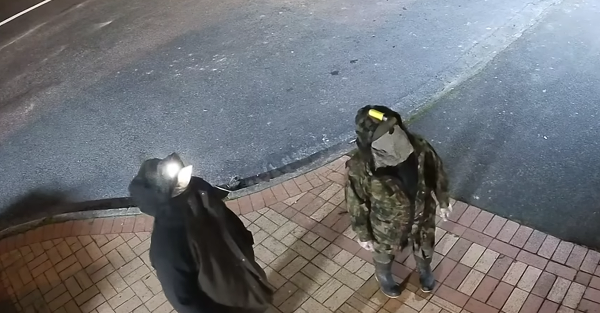 99ef5e09-fc53-4392-985f-453c57473cca