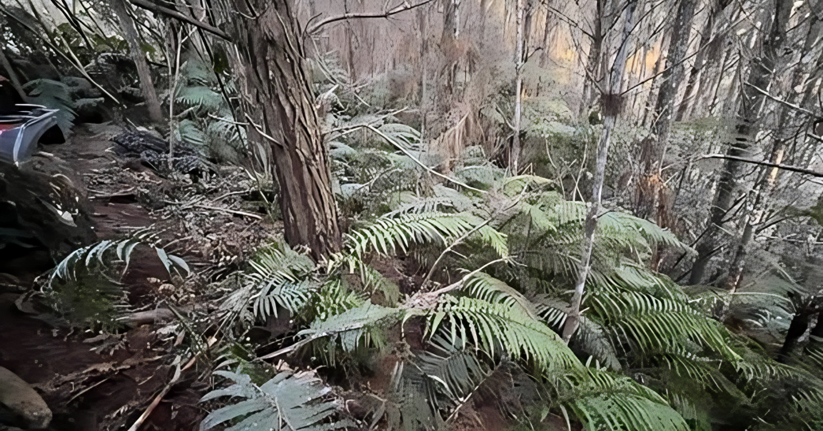 2adfc703-e9ff-4c4a-9176-48f2bb700abb