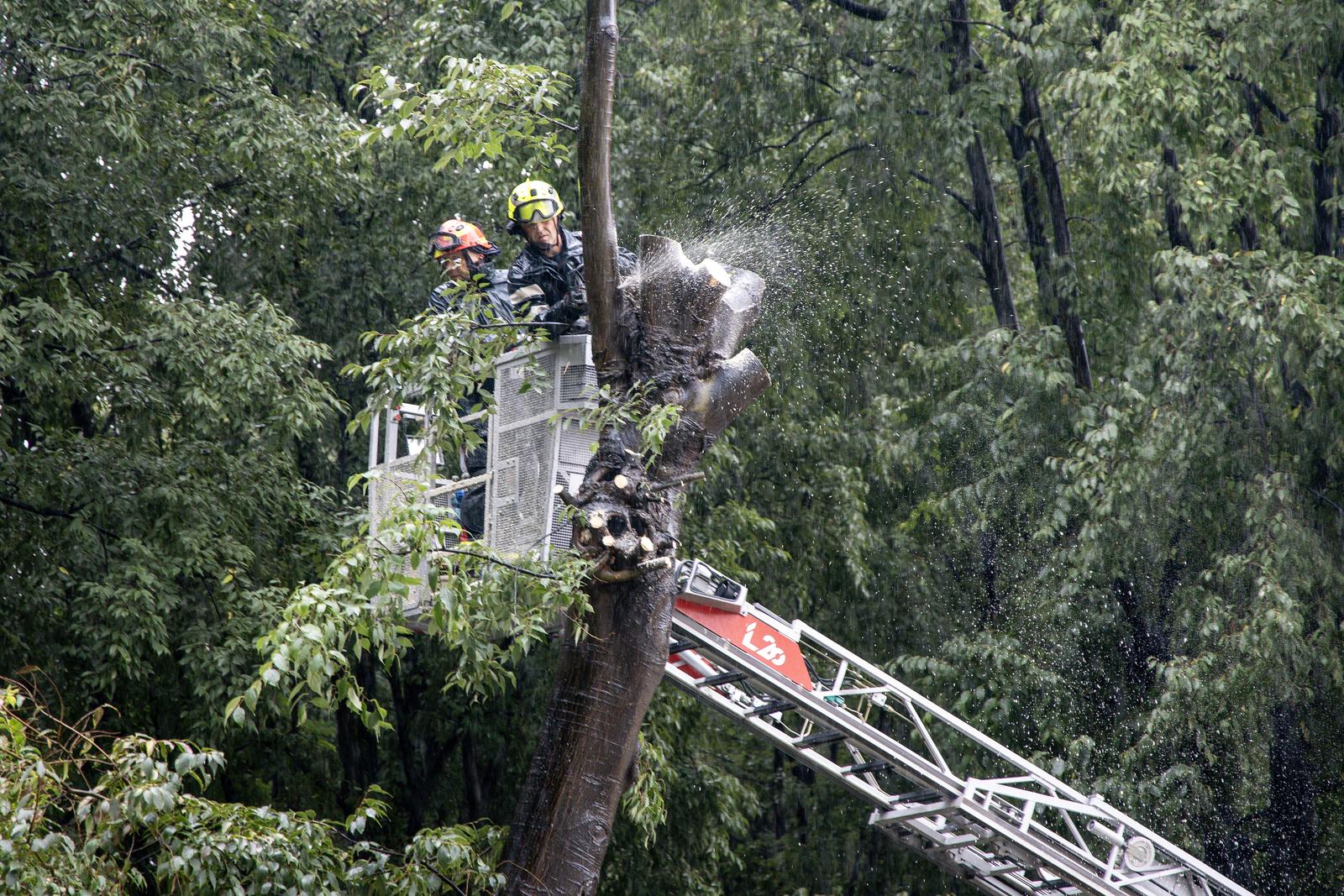 vatrogasci režu drvo