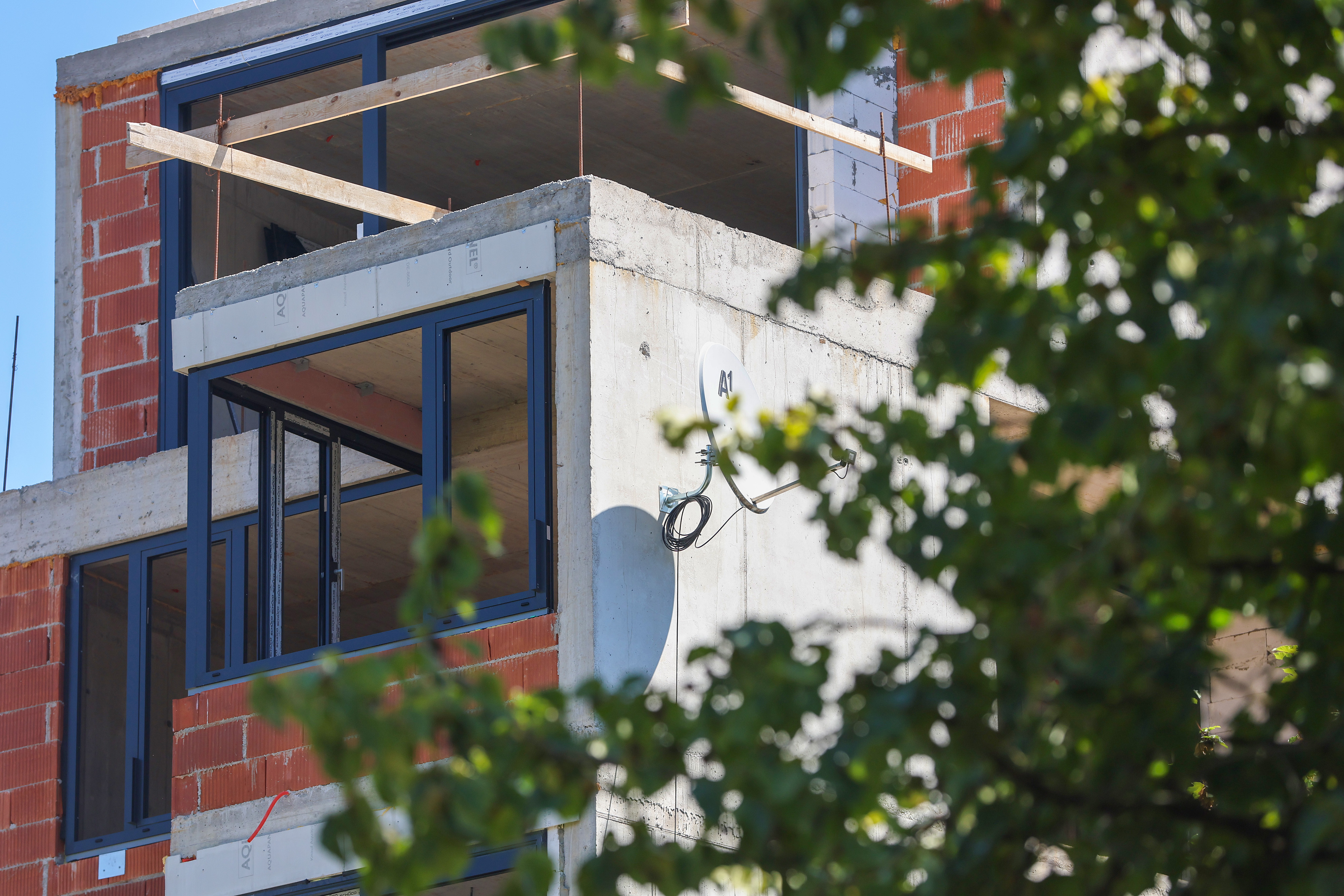 PXL_080825_136493482