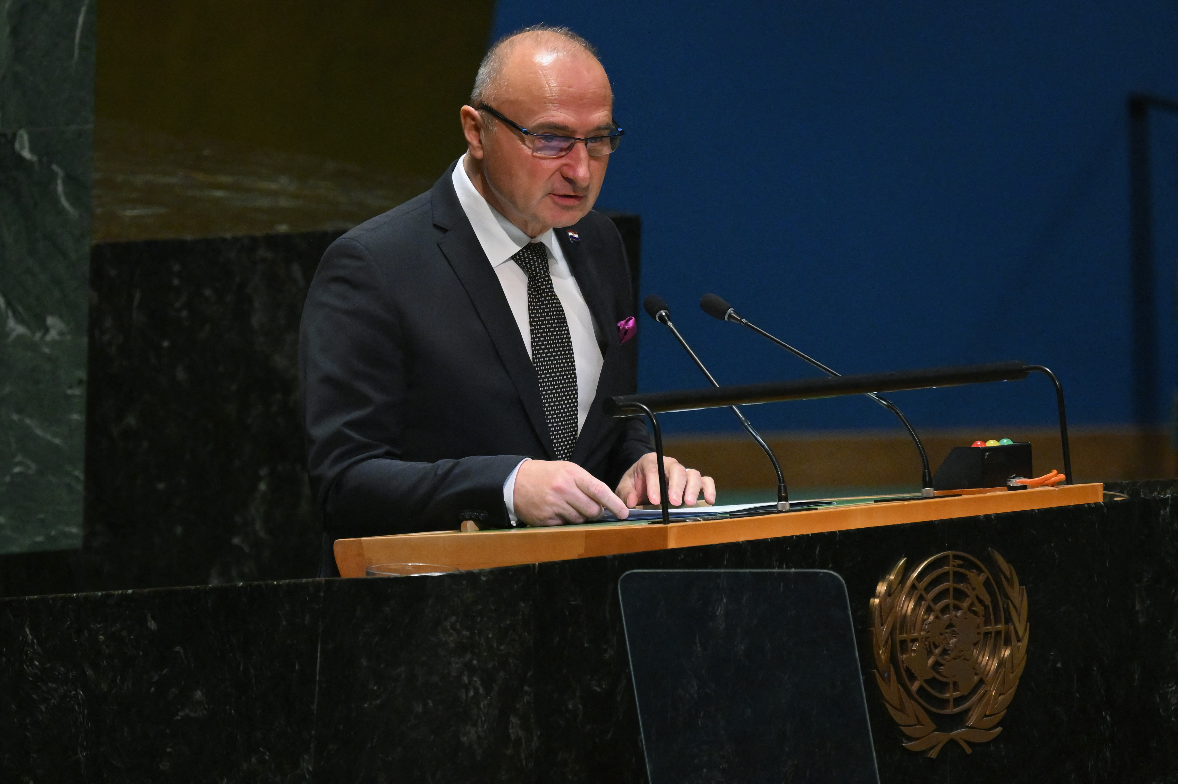 Gordan Grlić Radman