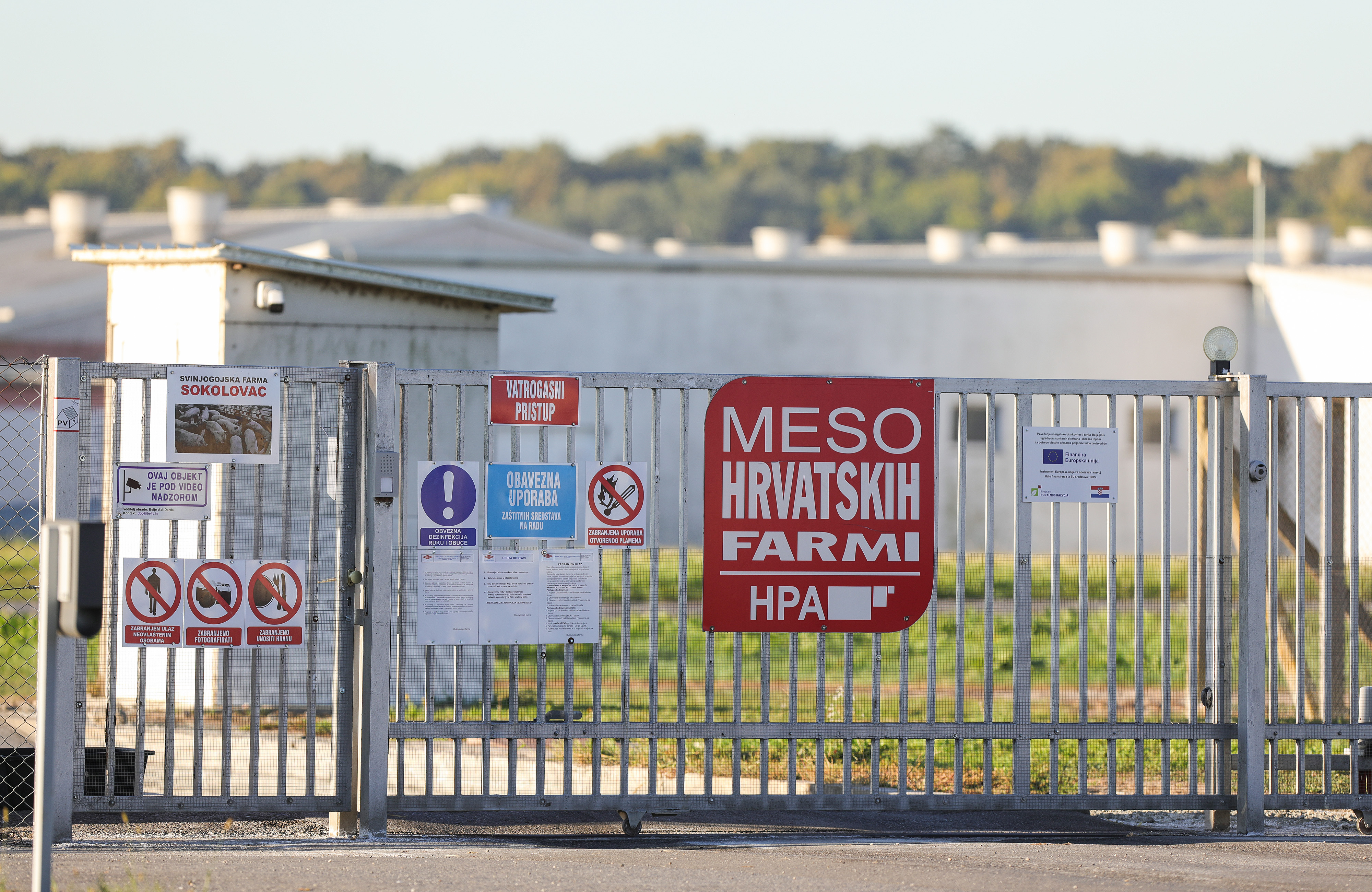 Na farmi Sokolovac, koja je u vlasnistvu Belja, bit ce usmrceno 11.600 svinja zbog pojave africke svinjske kuge.