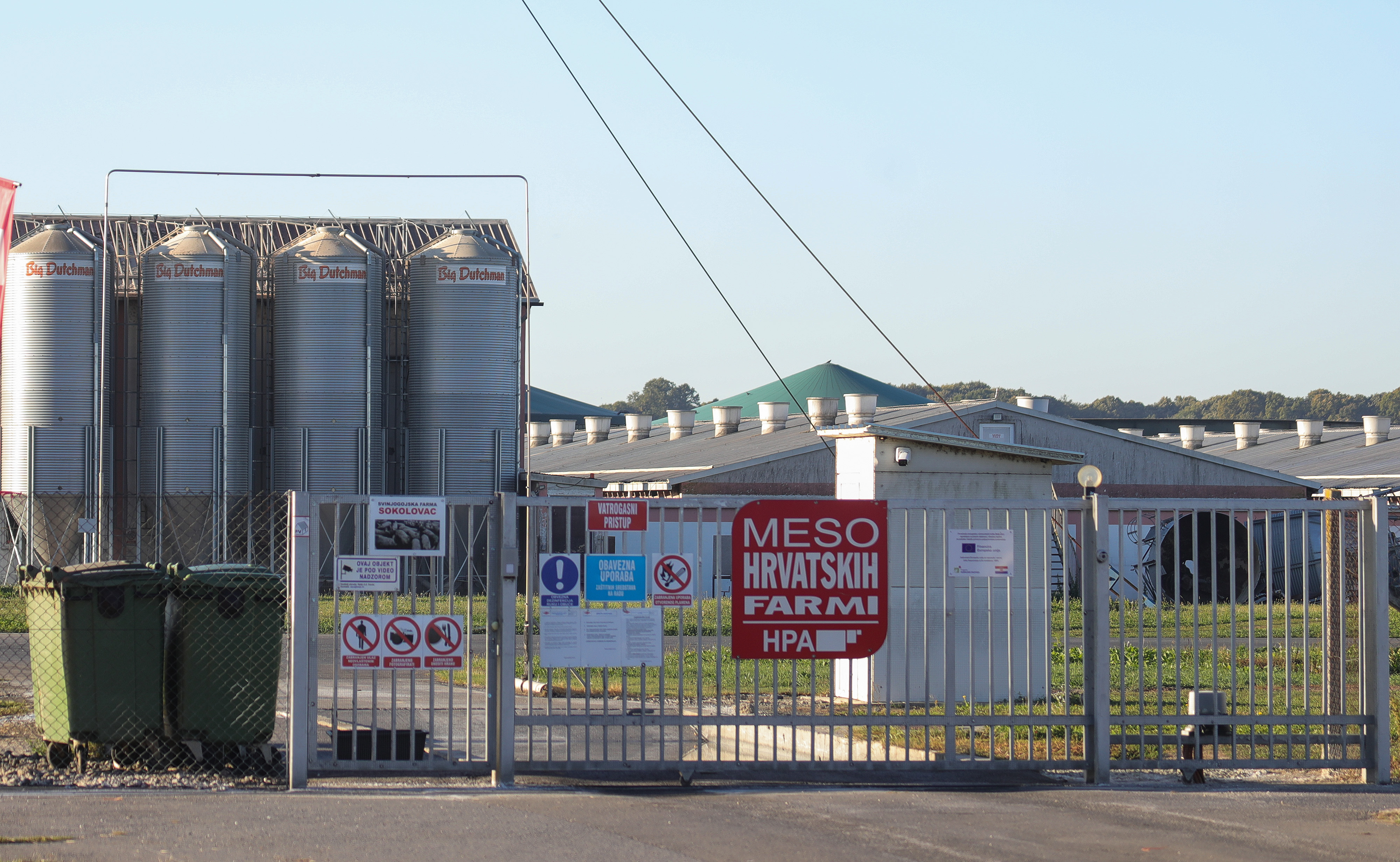 Na farmi Sokolovac, koja je u vlasnistvu Belja, bit ce usmrceno 11.600 svinja zbog pojave africke svinjske kuge.