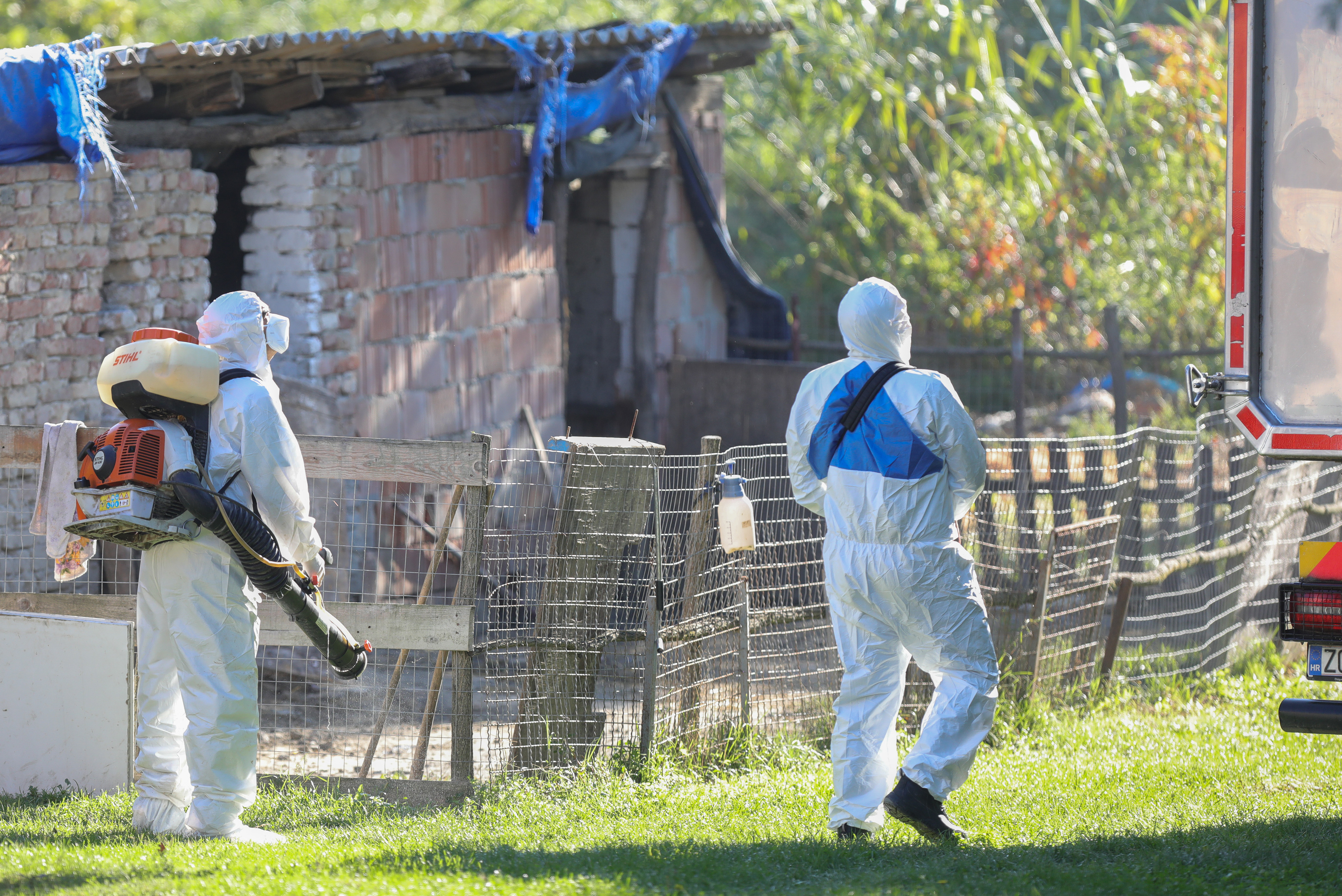 19.09.2025., Vardarac - Odvoz svinja zbog afričke kuge. Brojne eutanazirena svinje su odvedene, a prostor gdje su se nalazile je dezinficiran Photo: David Jerkovic/PIXSELL