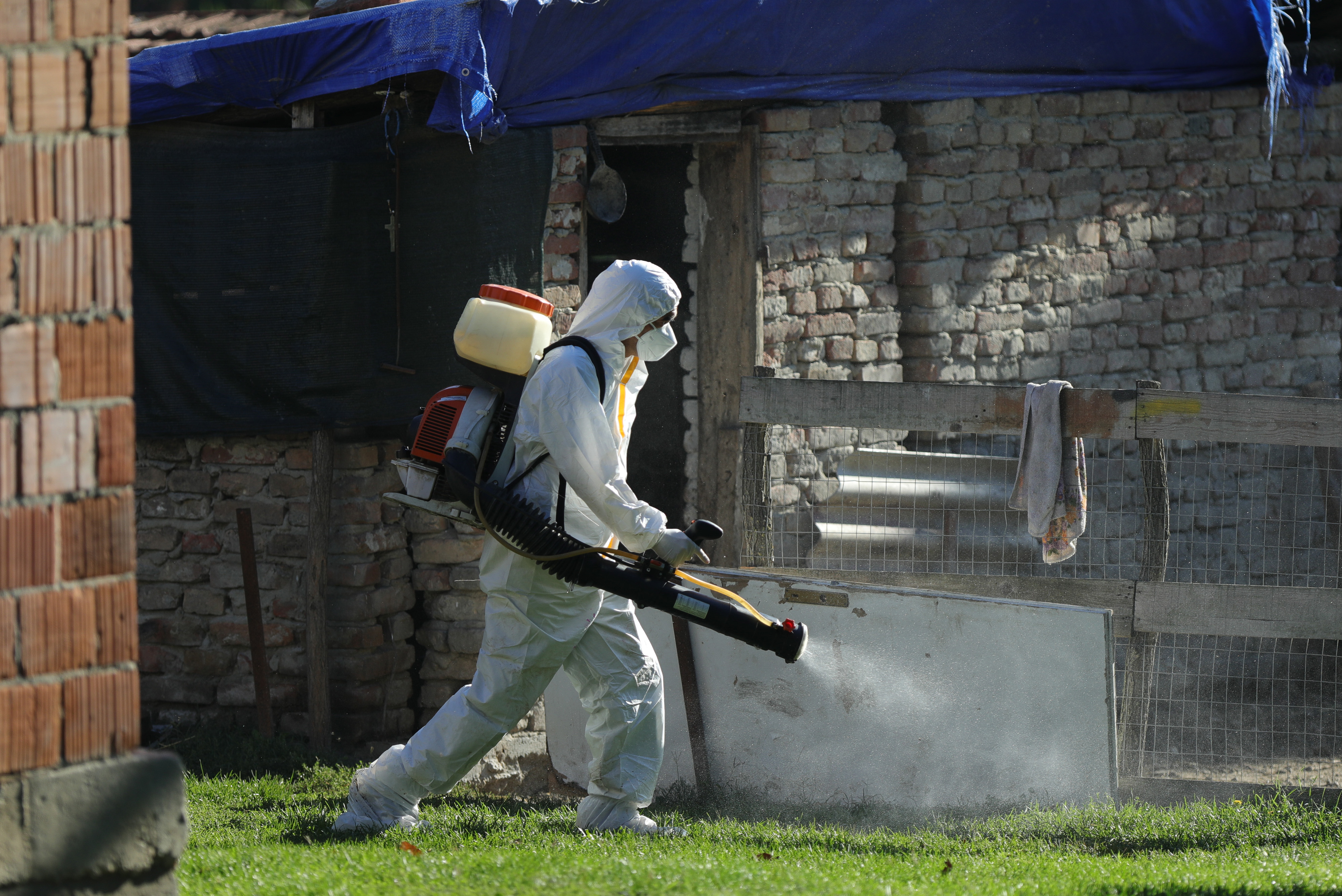 19.09.2025., Vardarac - Odvoz svinja zbog afričke kuge.