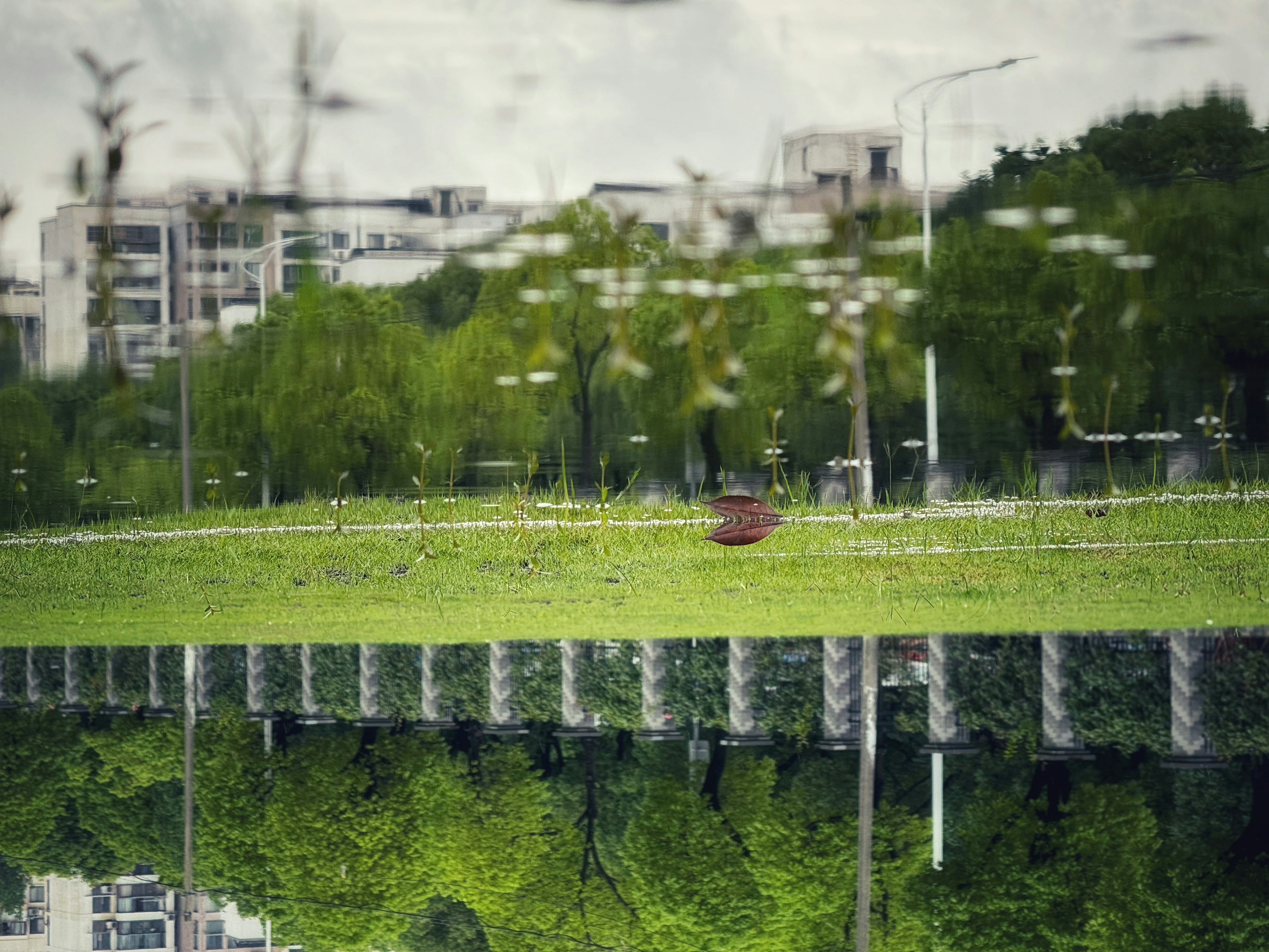 living-ff-UsBoeCBGnIs-unsplash