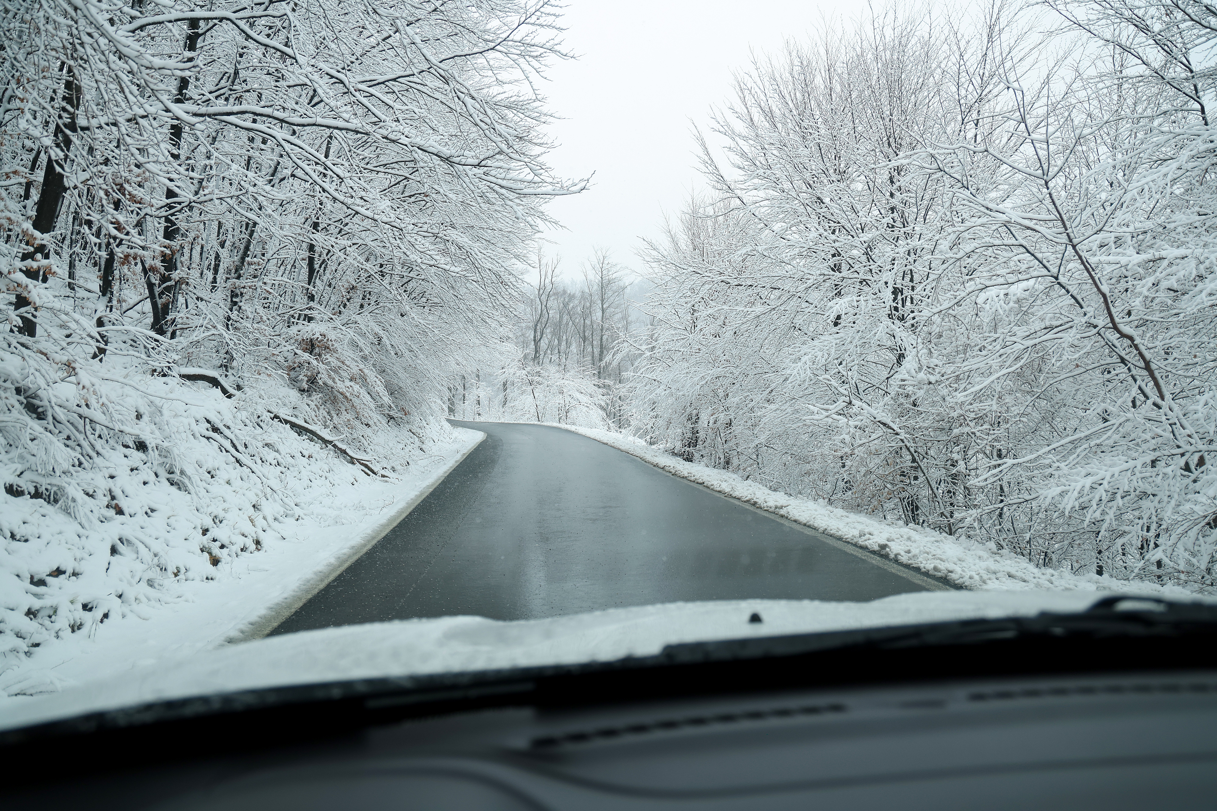 13.02.2025., Zagreb - Snjezni pokrivac je pokrio Sljeme, a puse i jak vjetar. Photo: Habljak Matija/PIXSELL
