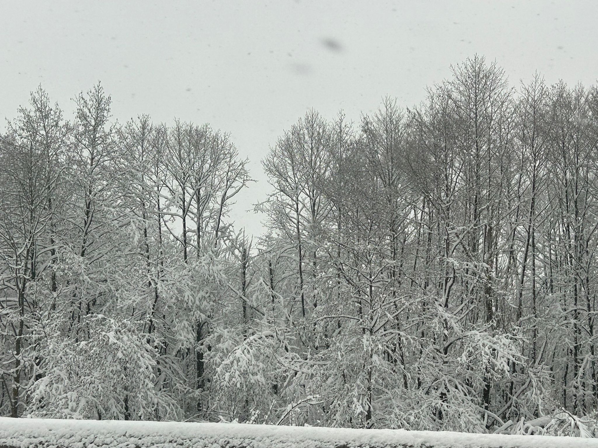 WhatsApp Image 2026-01-04 at 17.40.34.jpeg