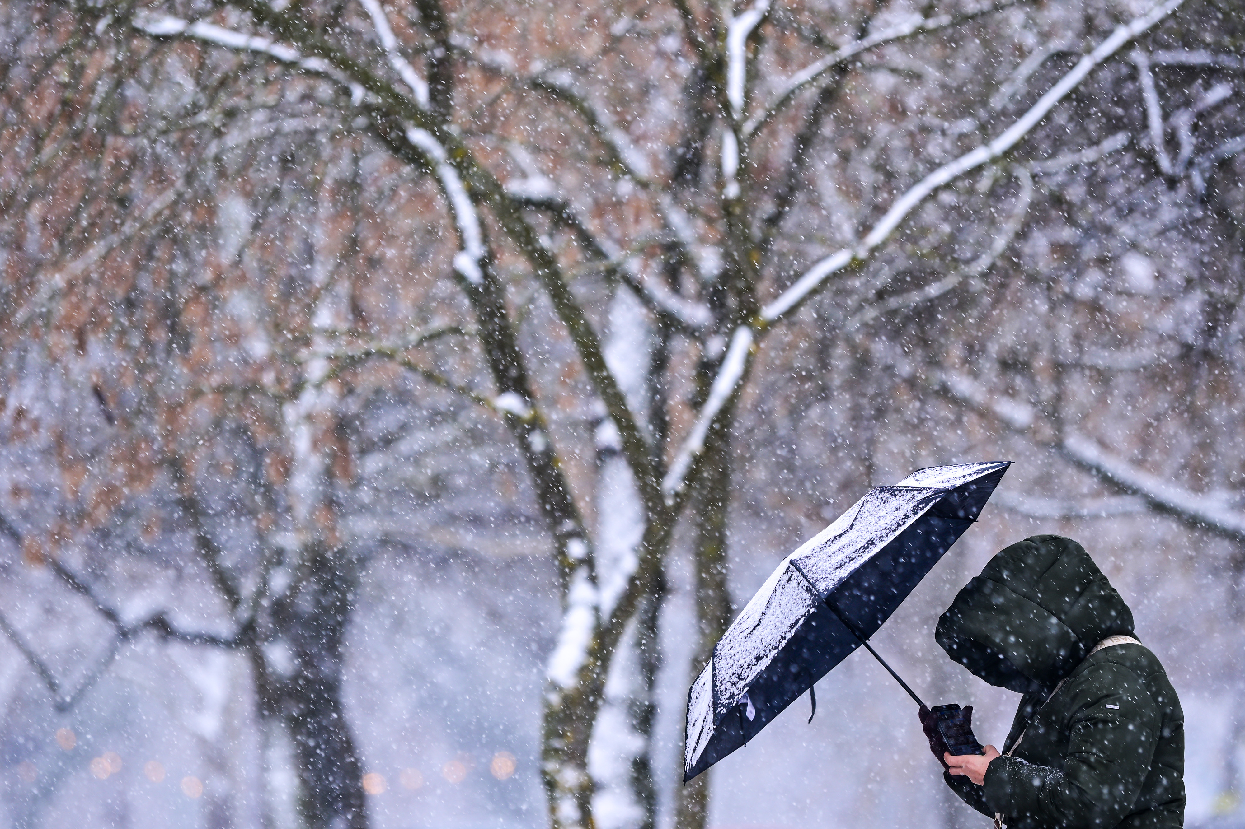 05.01.2026., Zagreb - Zimska idila na zagrebackom jezeru Bundek. Photo: Igor Soban/PIXSELL