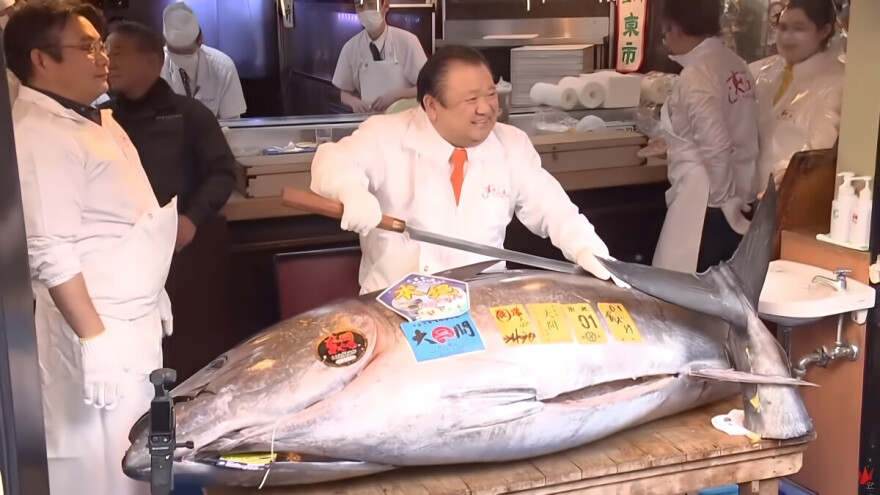 Tokio: Divovska tuna prodana na aukciji za 2,8 milijuna eura