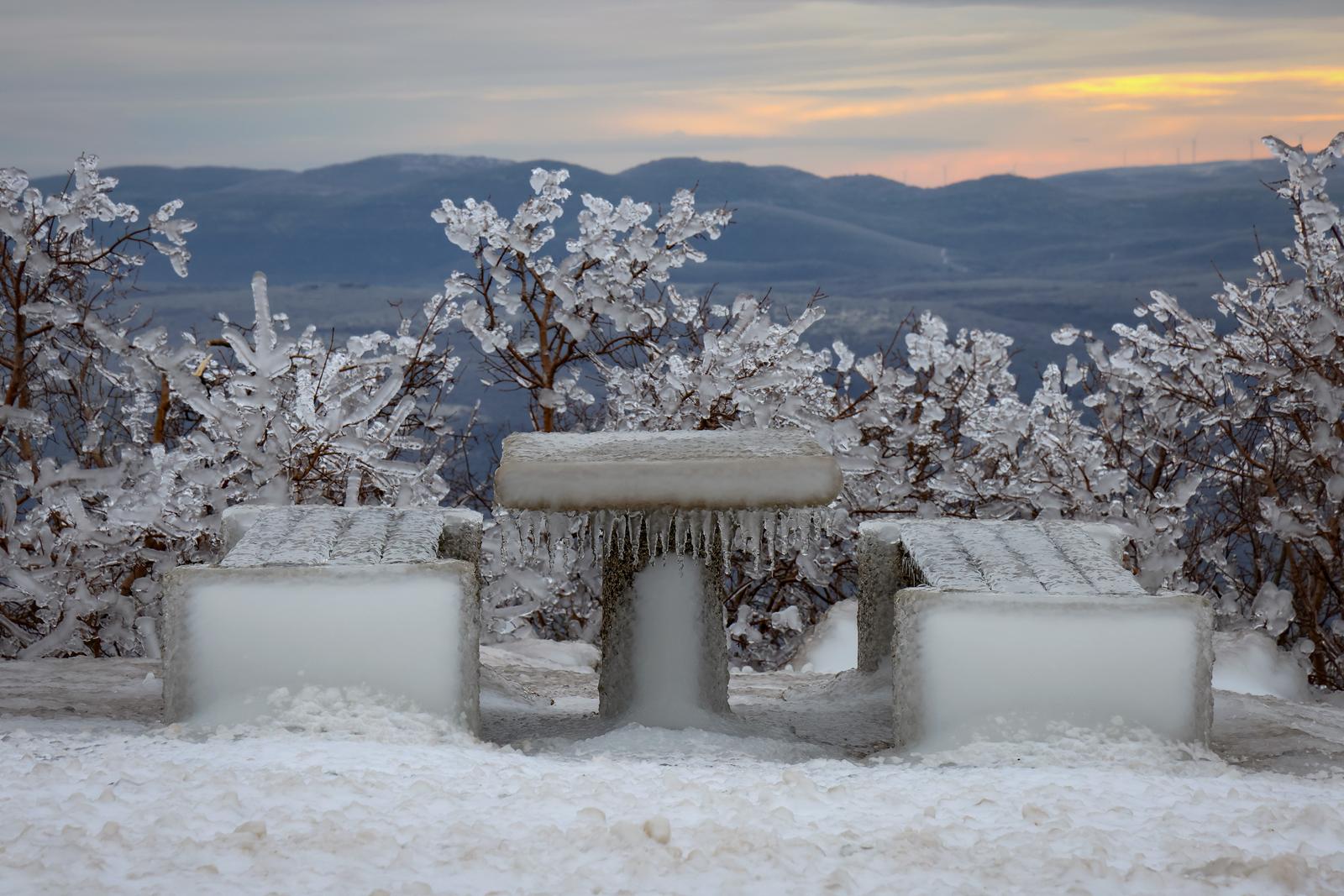07.01.2026., Muskovci - Jak vjetar i niske temperature zaledile su stabla Photo: Sime Zelic/PIXSELL