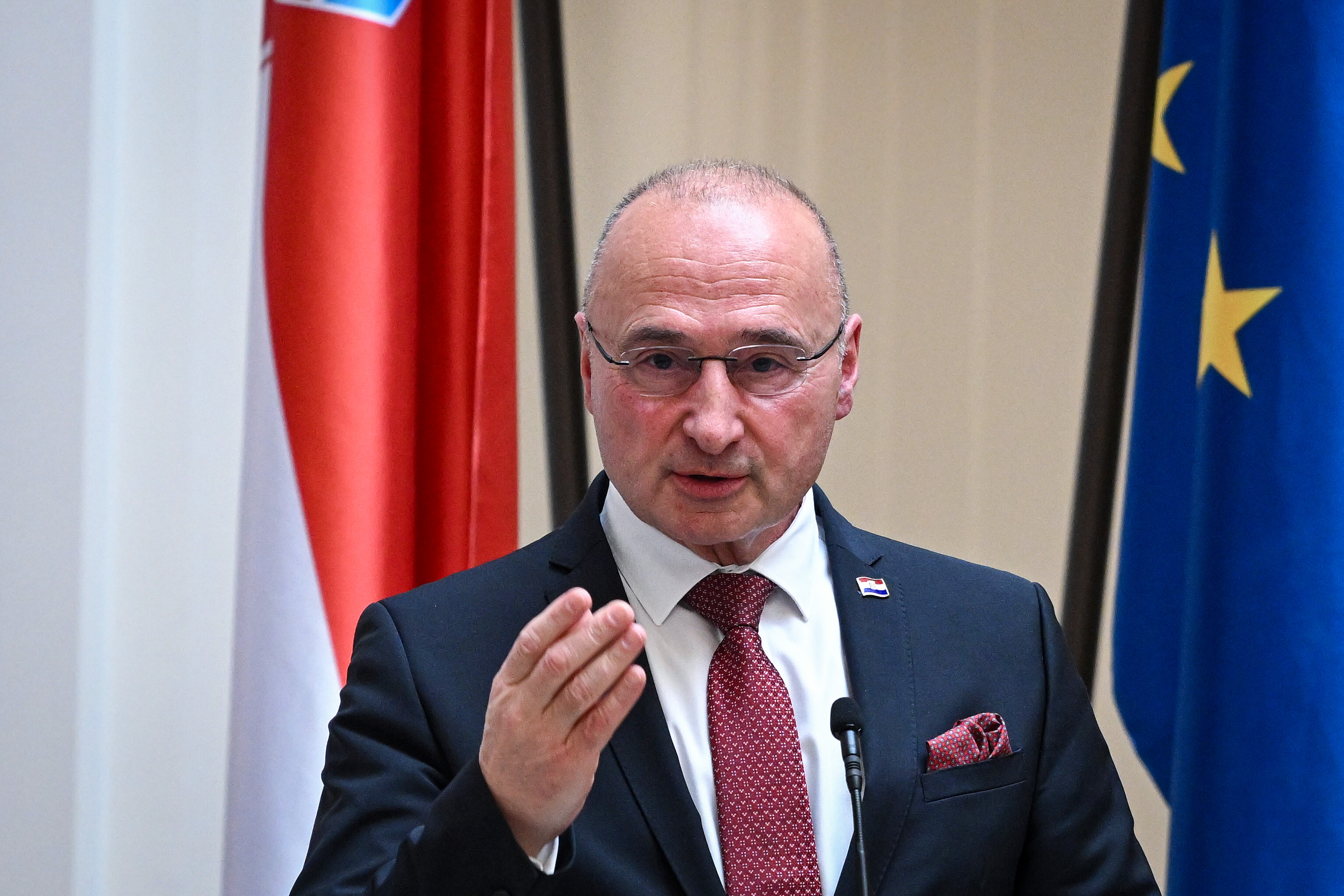 Gordan Grlić Radman