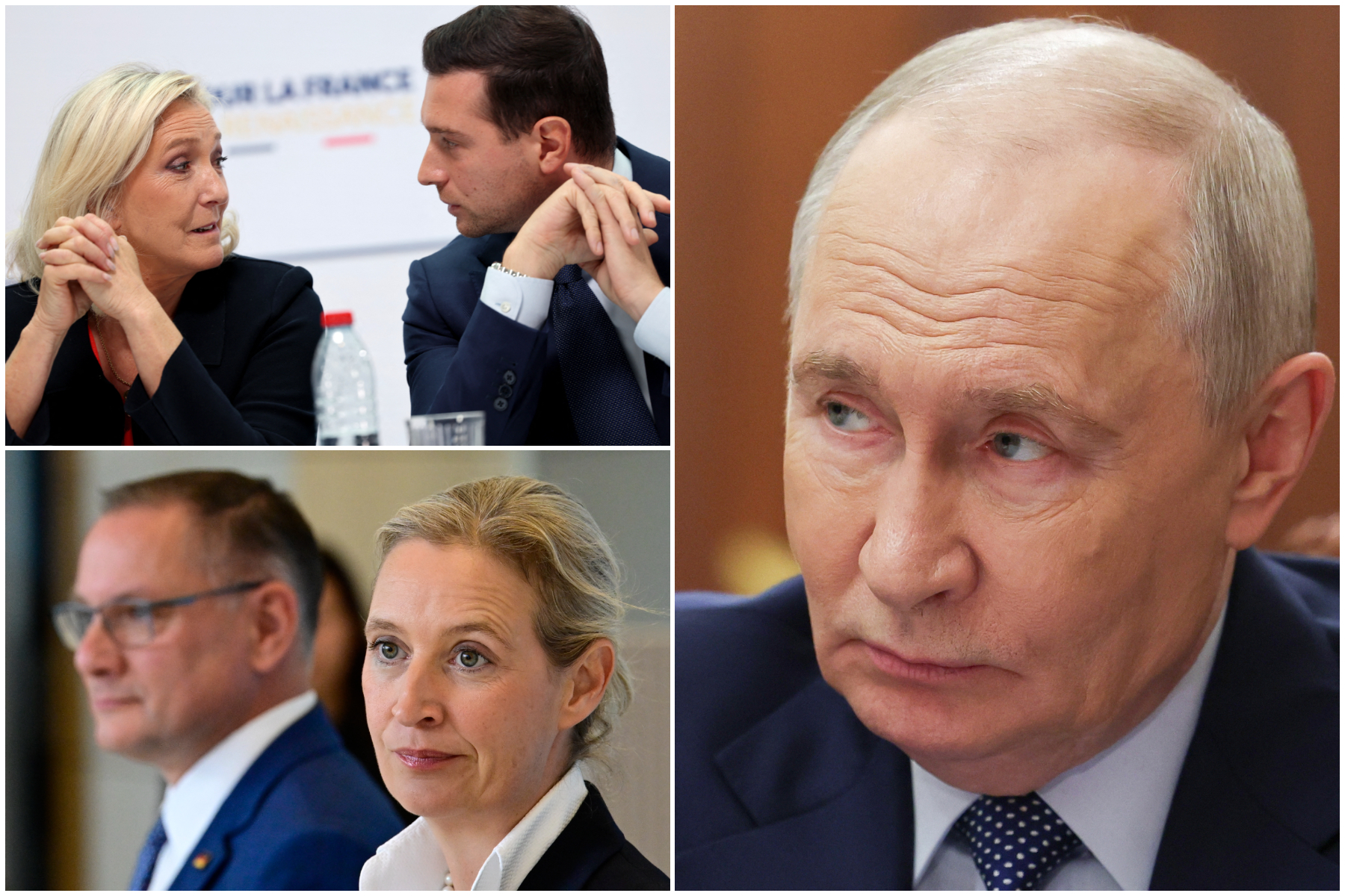 le pen putin afd