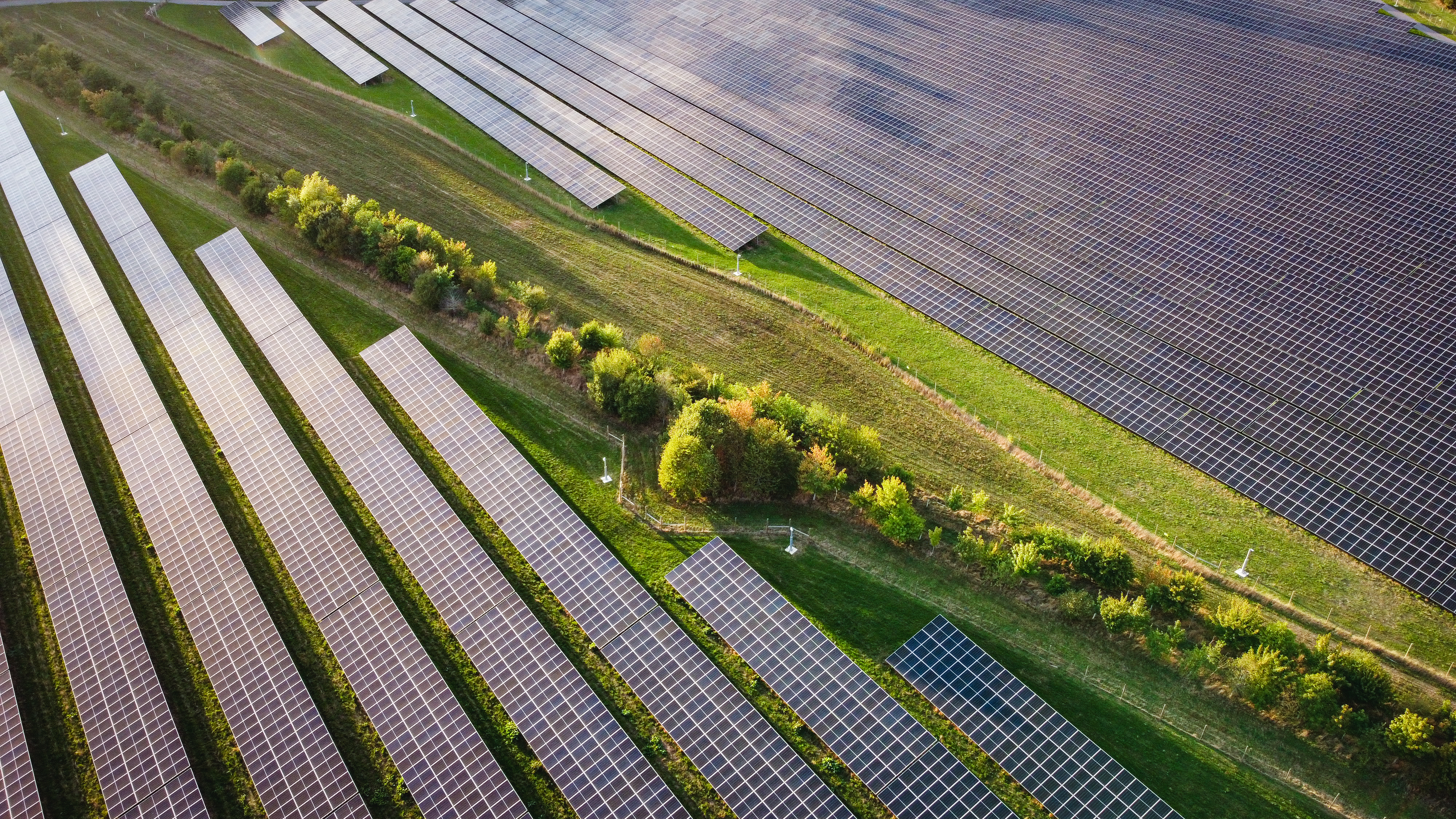 Bunkers Hill Solar Farm near Hook, Hampshire on September 16, 2026. The solar farm covers approximately 105 hectares (260 acres) with a generating capacity of 49.9 MW. (Photo by Adrian DENNIS / AFP)