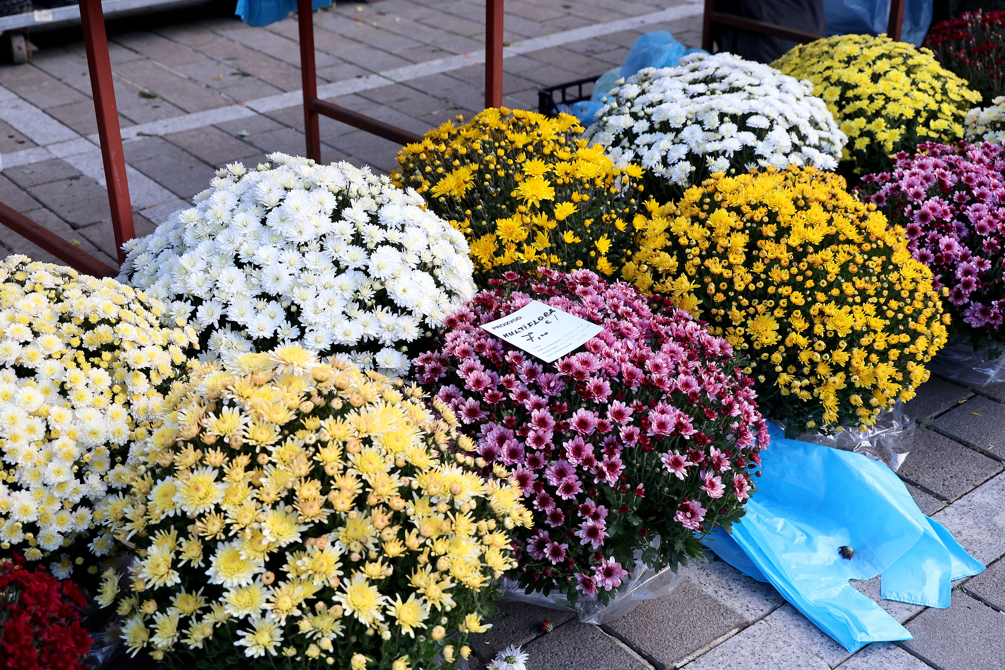 26.10.2026., Zagreb - Tradicionalno u tjednu koji prethodi blagdanu Svih svetih bogata je ponuda cvijeca