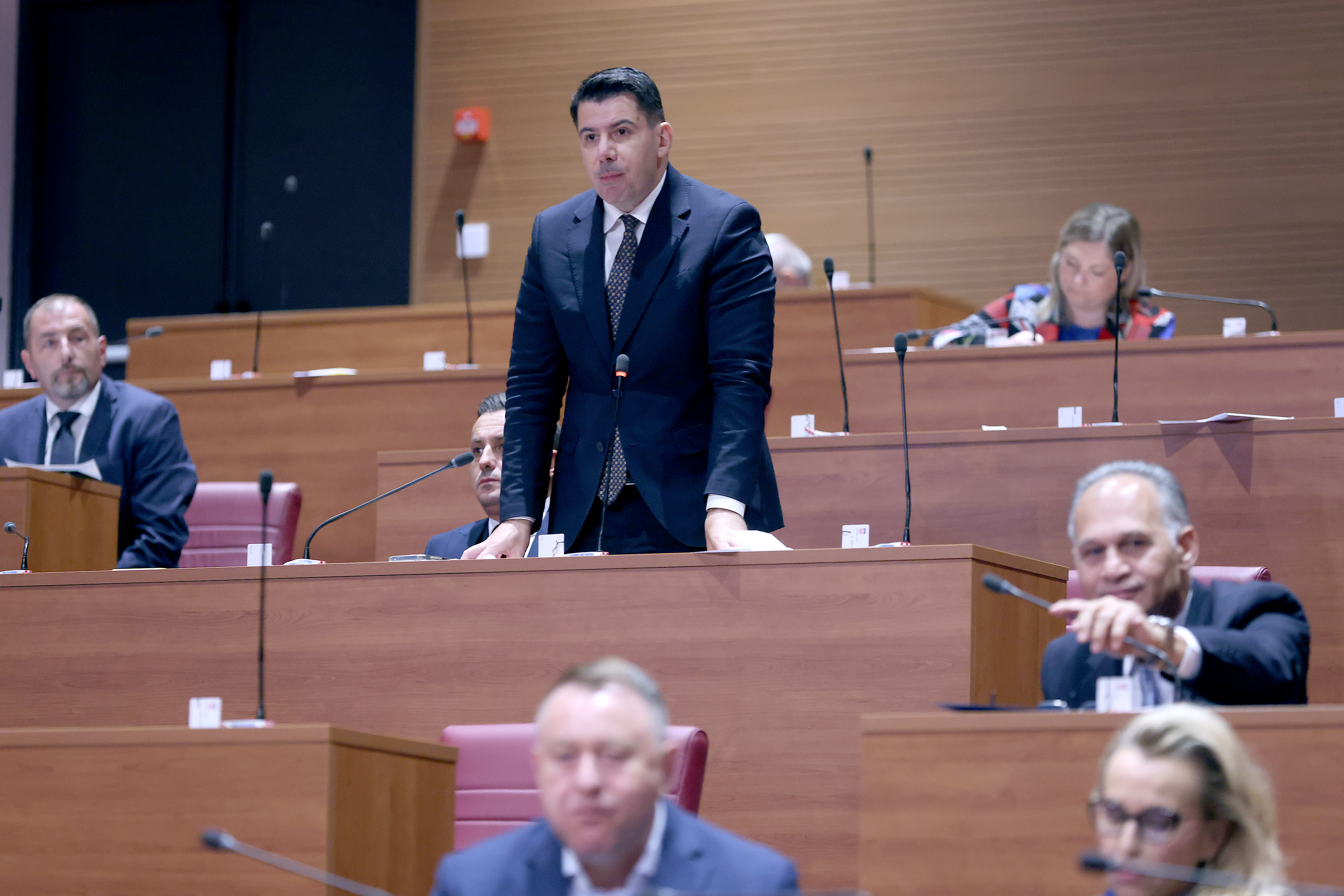 Nikola Grmoja