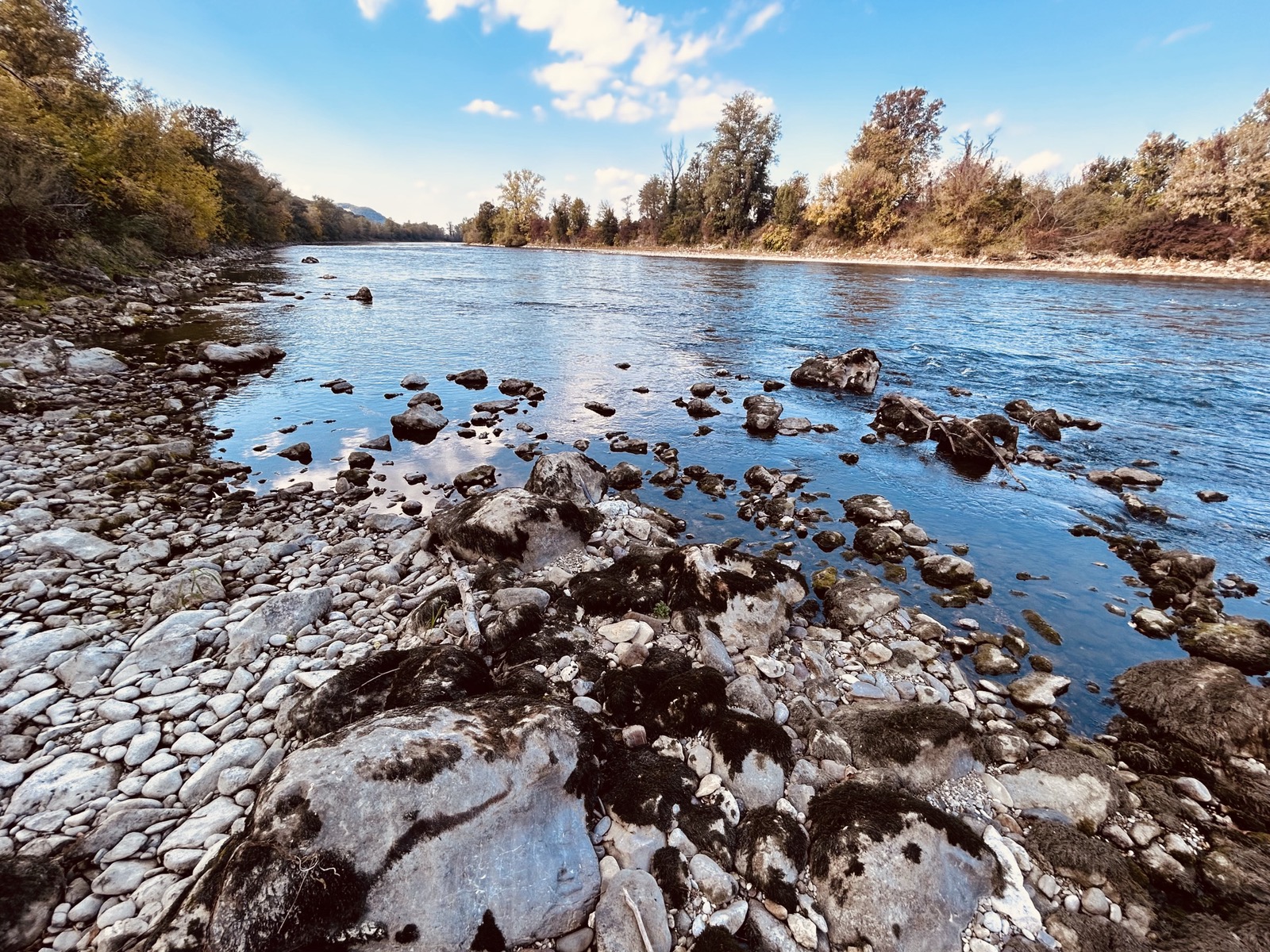 1793183801_brzice_Sava