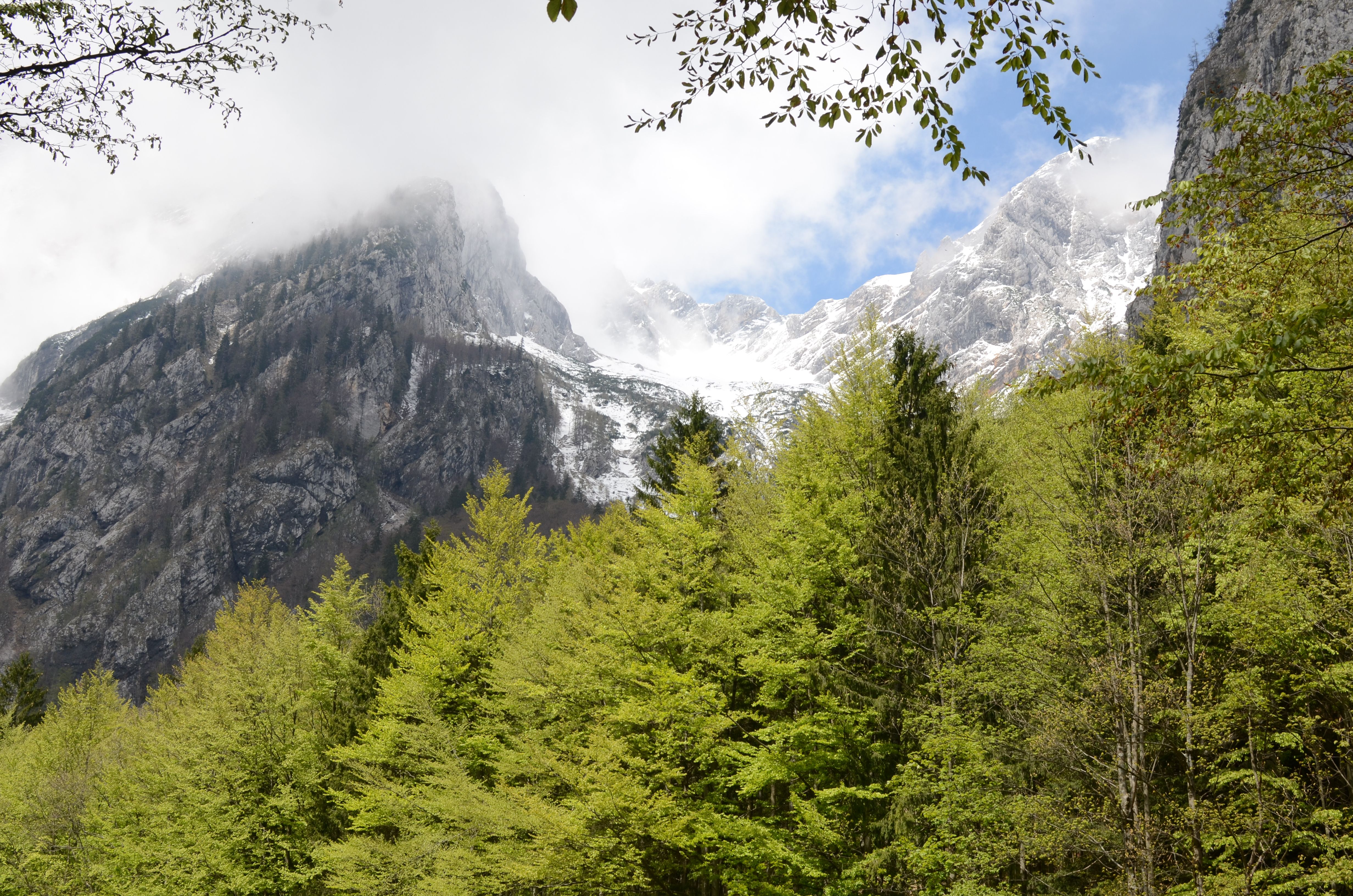 triglav