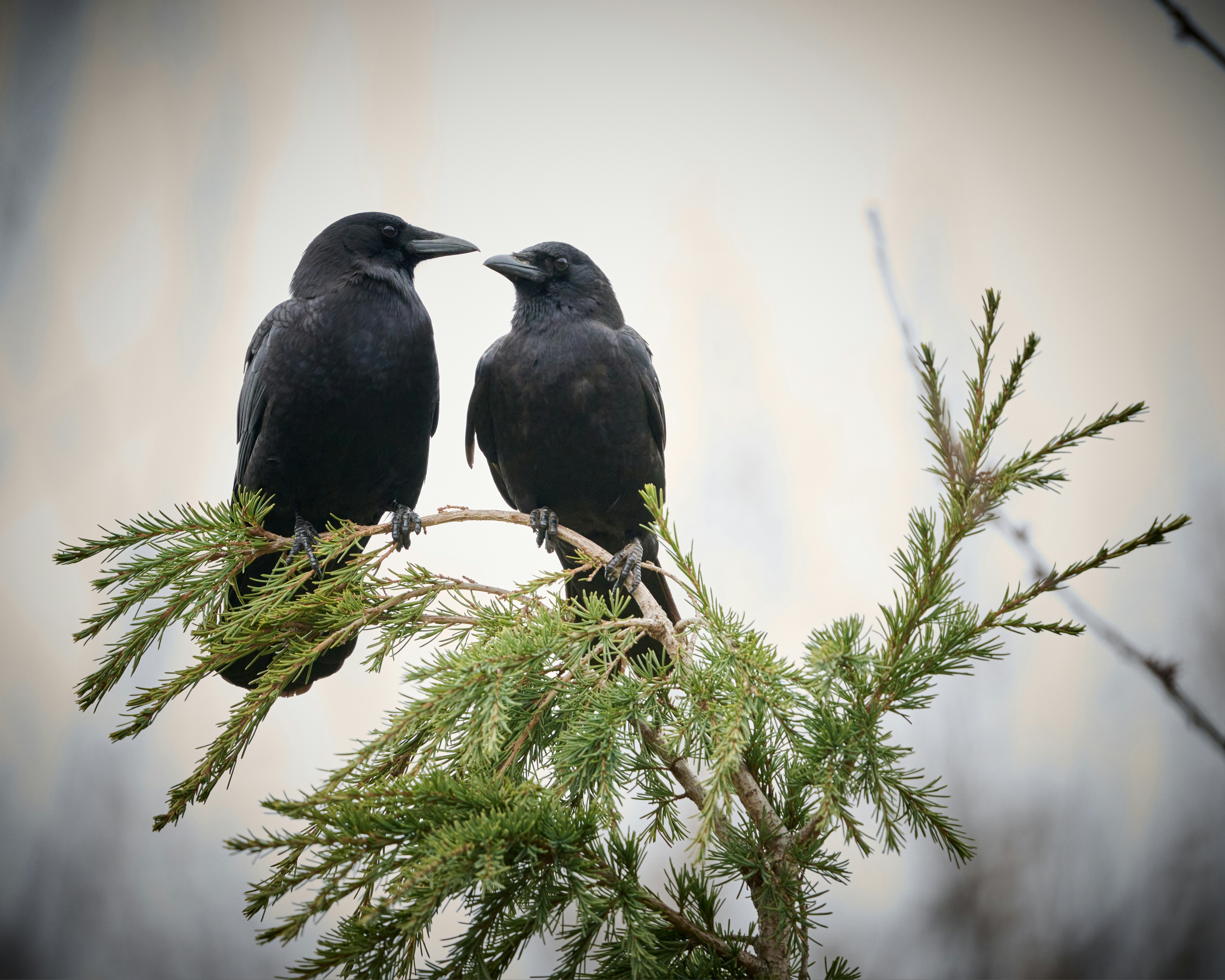 steve-smith-y5GmdMmPbP0-unsplash