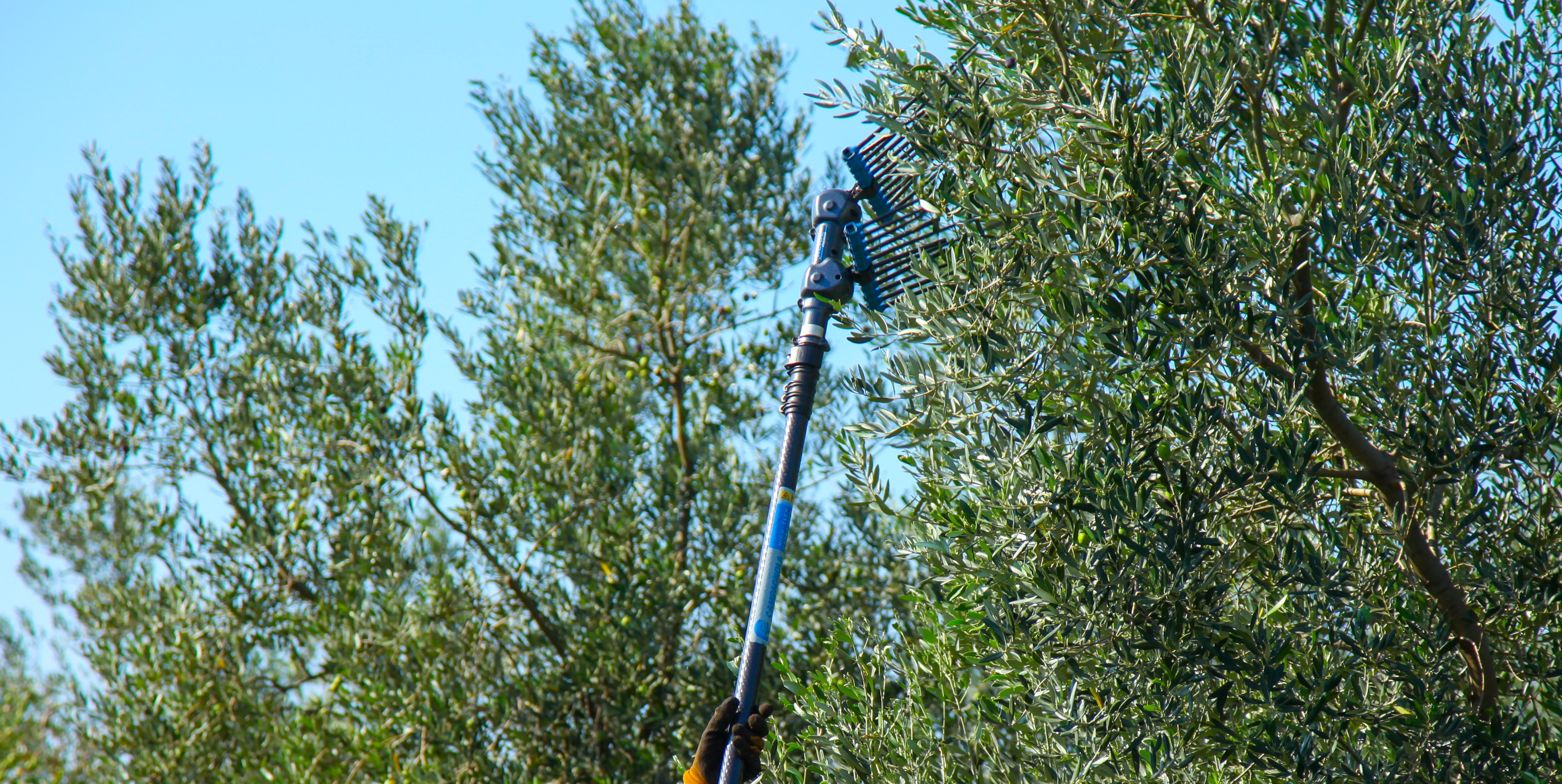 PXL_061023_104287876