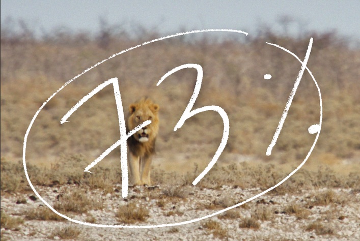 WWF
