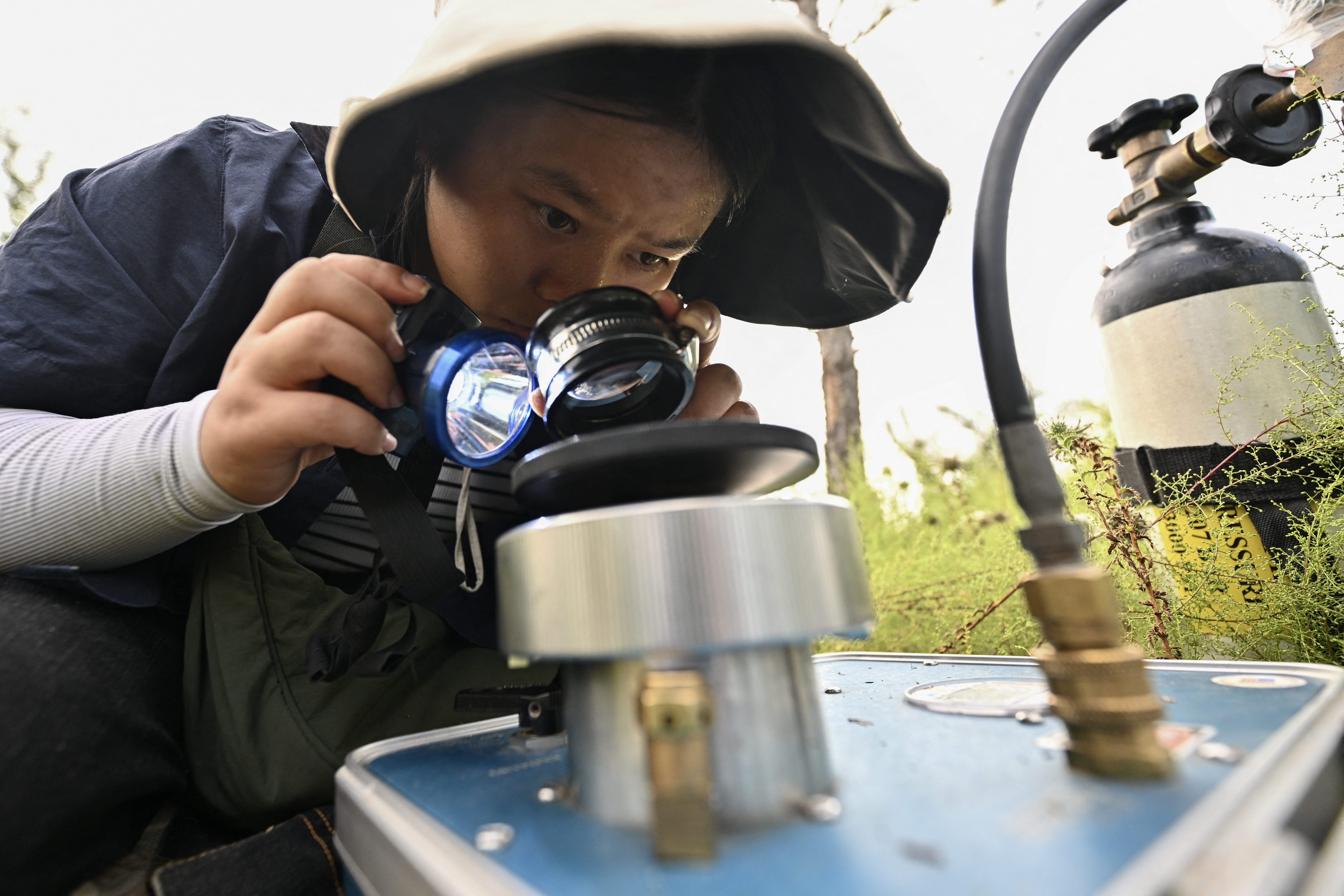 This picture taken on August 11, 2025 shows student Zhang Yanping working in the greening project across arid and desert regions, known as the "Great Green Wall" in the Kubuqi Desert