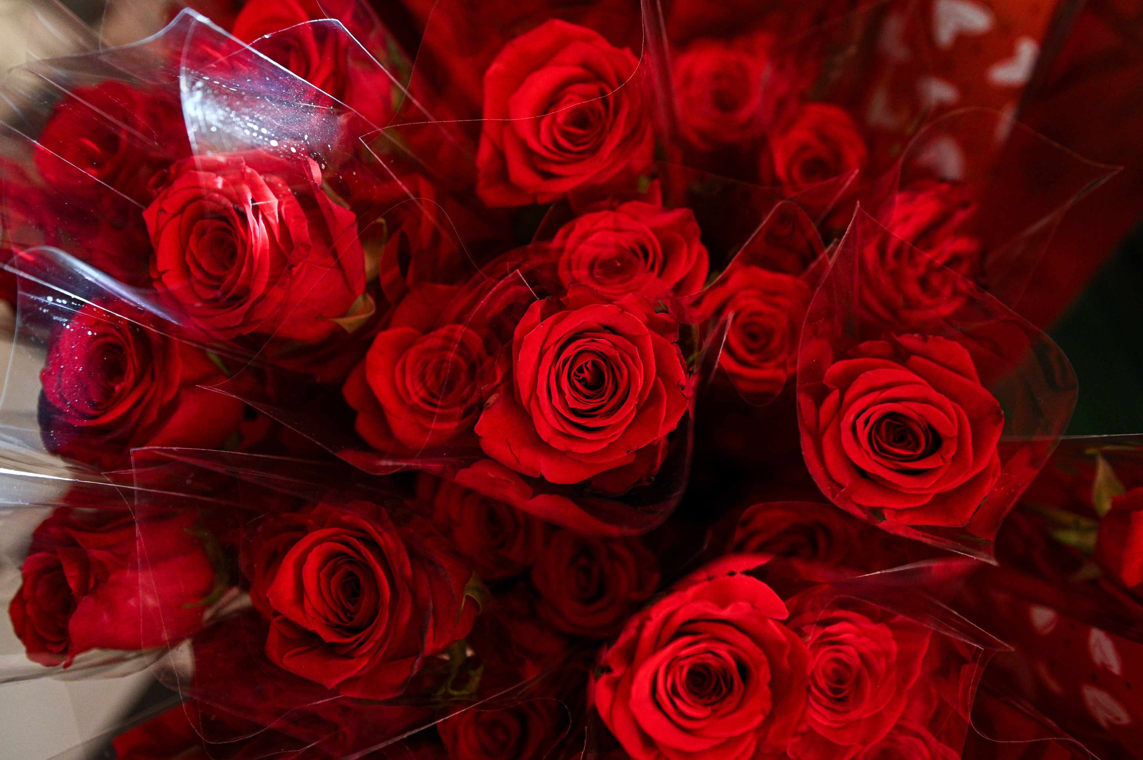 PXL_130226_146468013