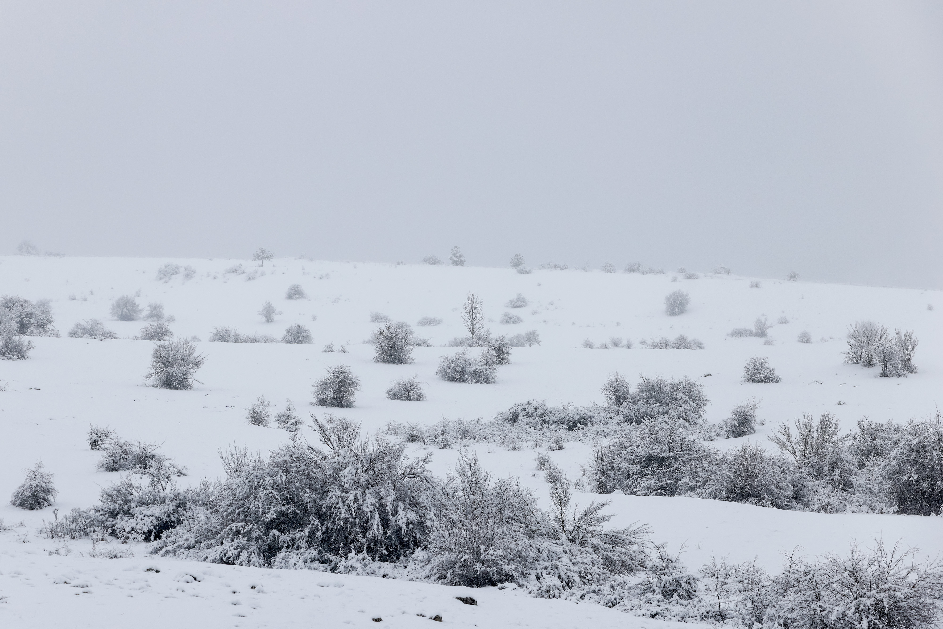 20.02.2026., Korenica - Snijeg zabijelio Korenicu i okolicu Photo: Sime Zelic/PIXSELL