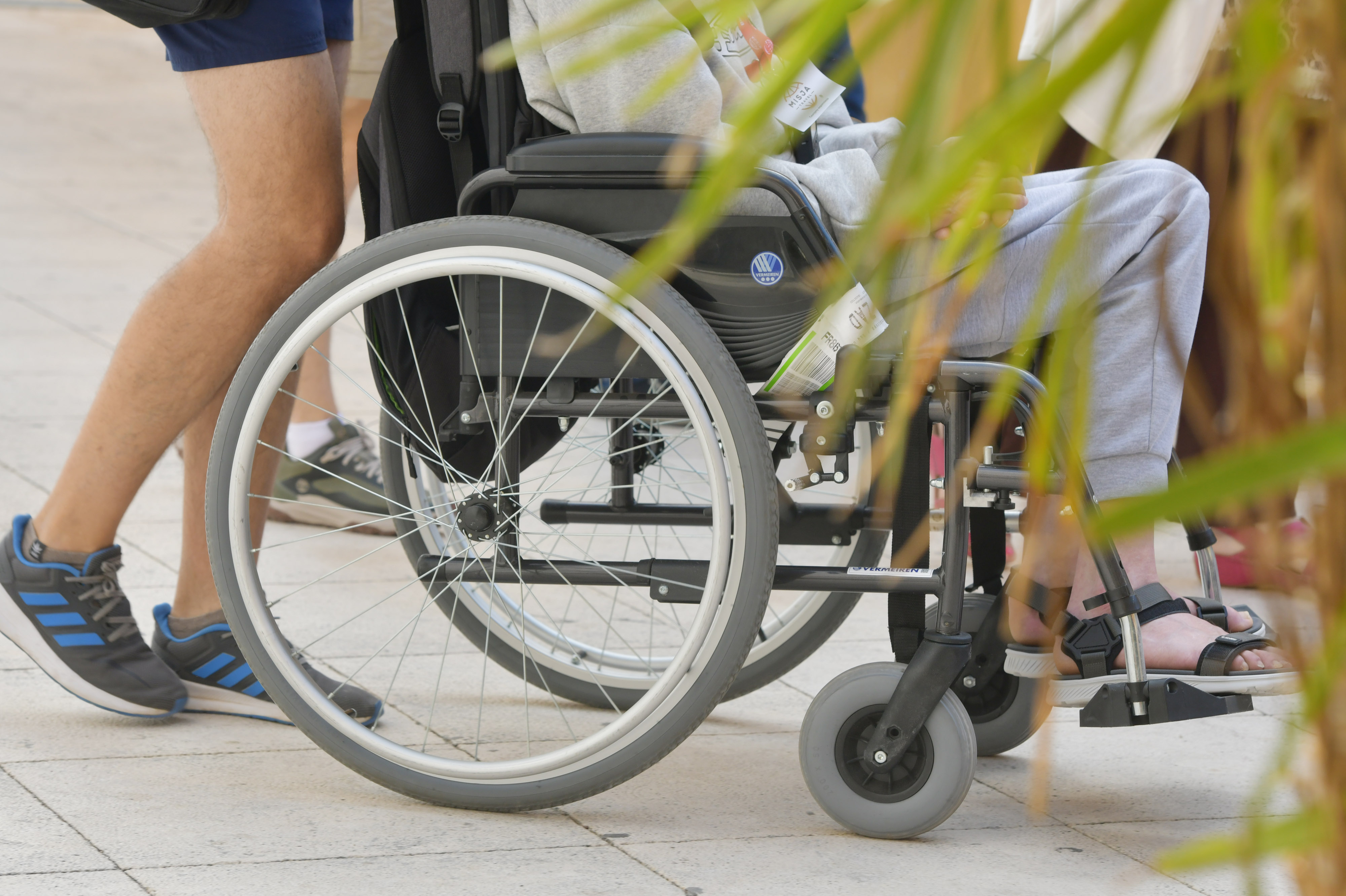 11.10.2025., Sibenik - Ilustracija za osobe s invaliditetom. Photo: Hrvoje Jelavic/PIXSELL