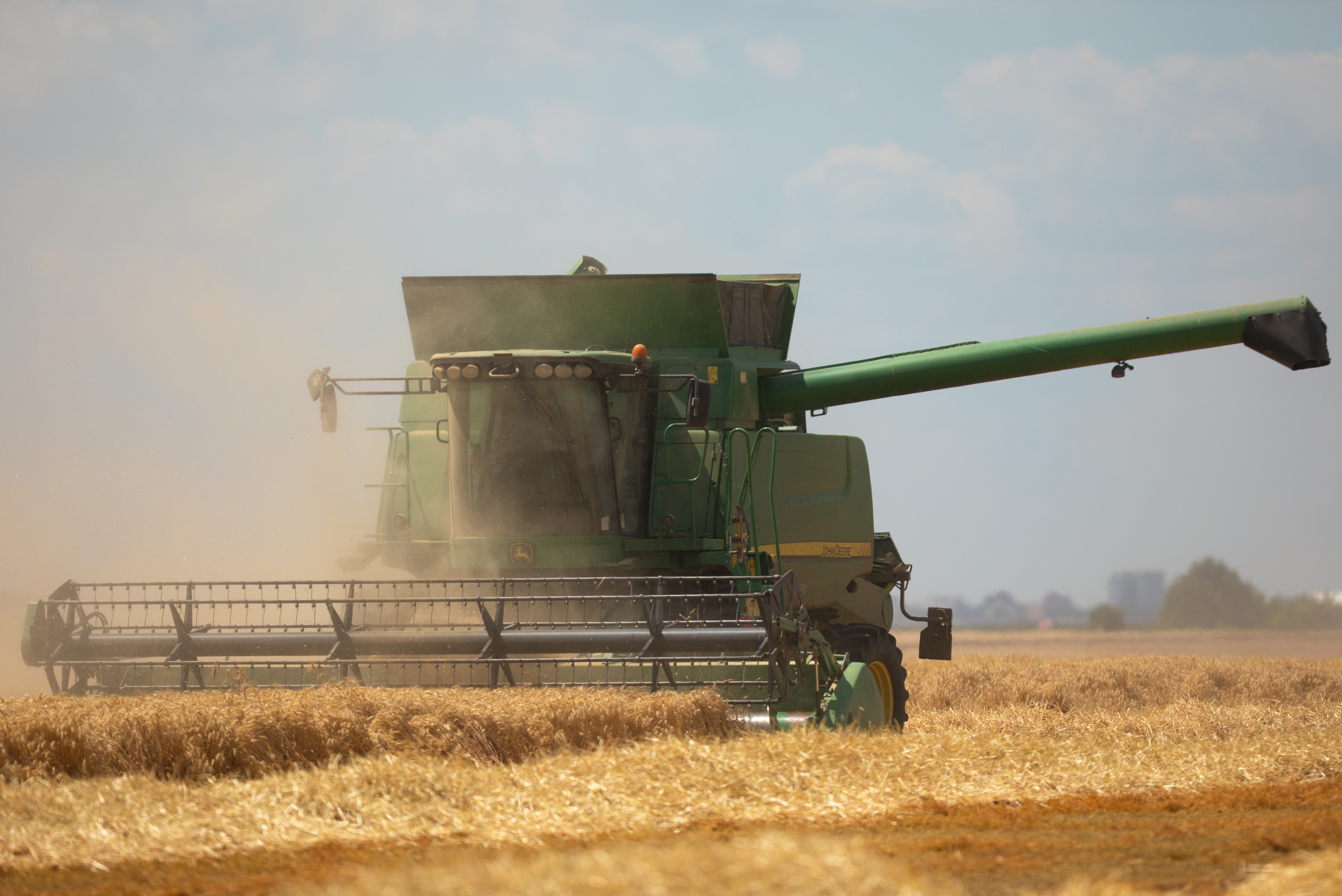 30.06.2025., Osijek - Zlatna polja Slavonije u zetvi. Photo: David Jerkovic/PIXSELL
