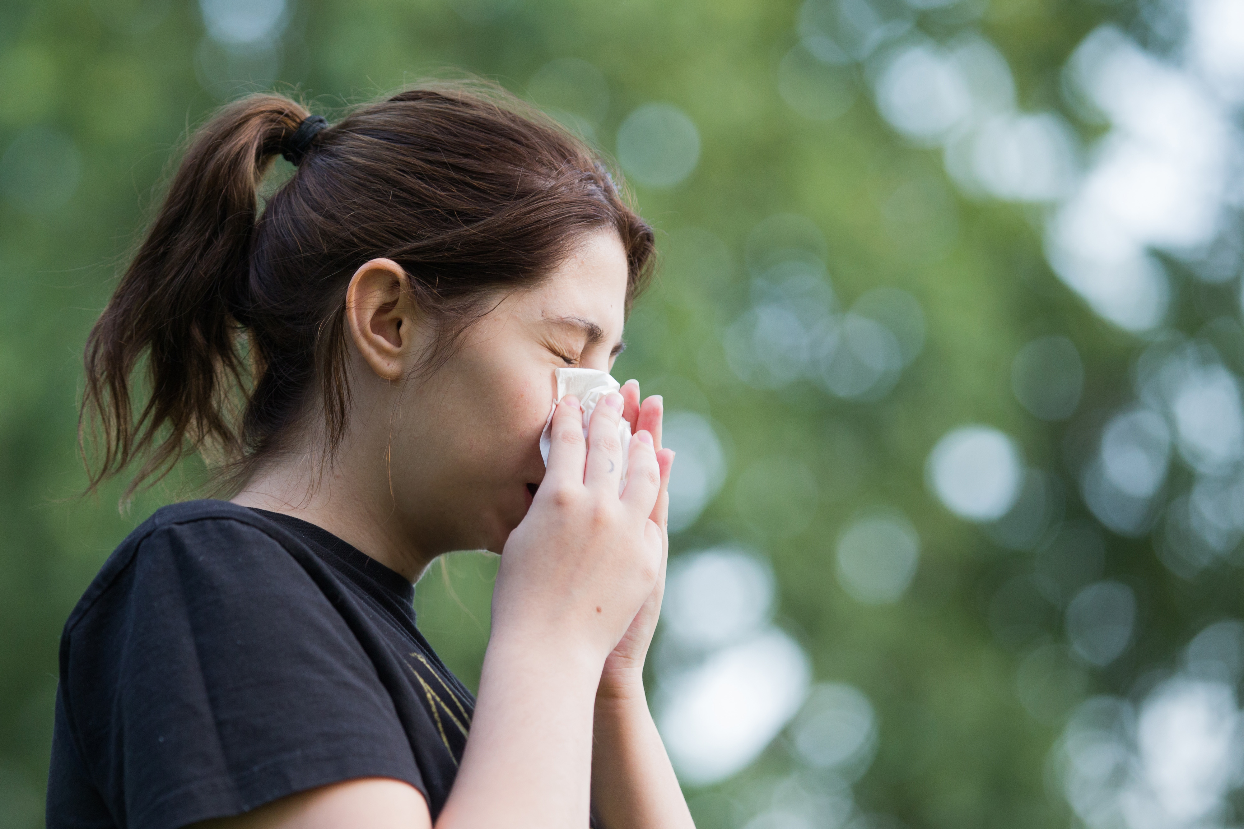 20.08.2018., Alergija na ambroziju. "nPhoto: Dubravka Petric/PIXSELL
