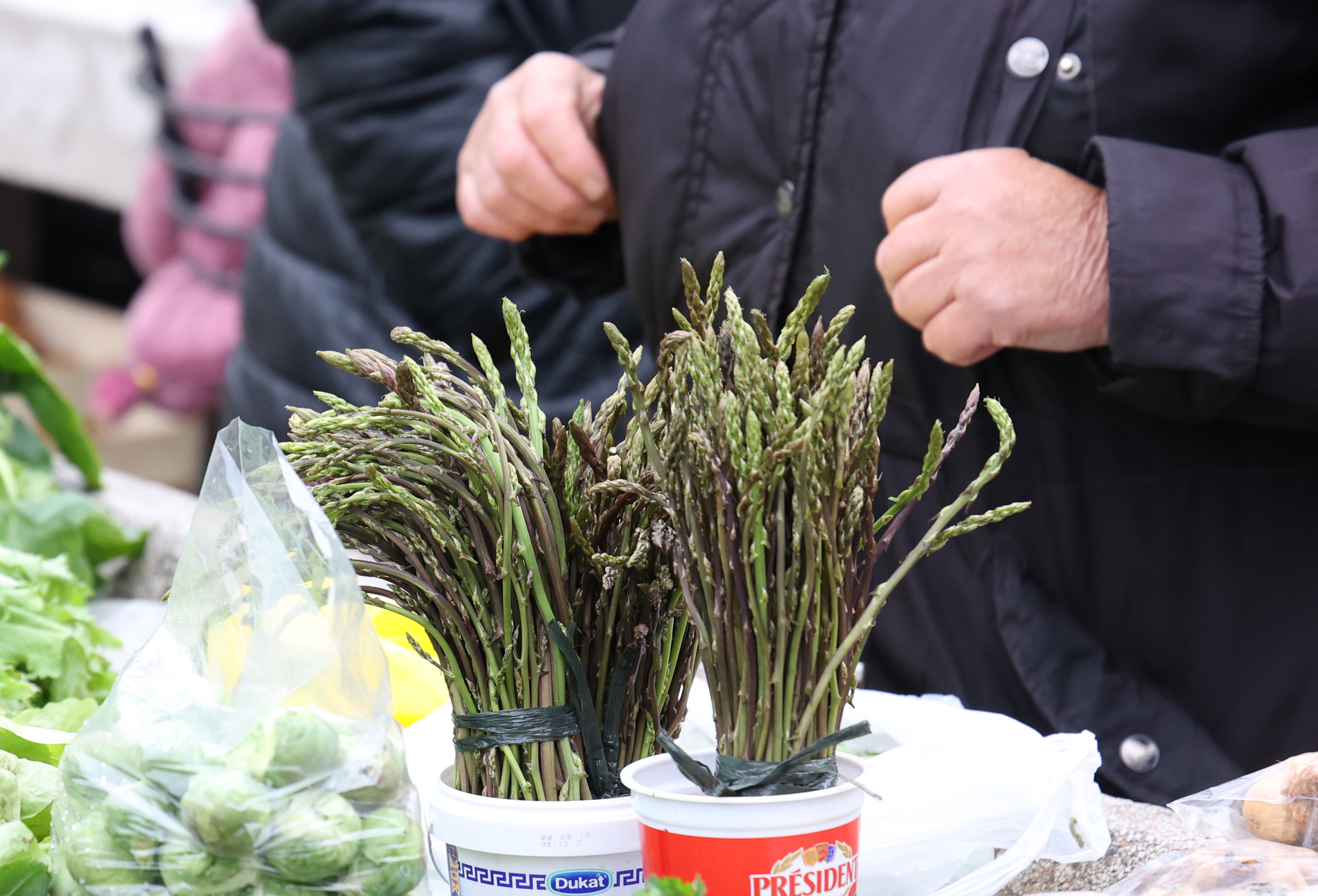 22.03.2025., Sibenik - Bogata i raznovrsna ponuda voca, povrca i cvijeca, a narocito sparoga. Photo: Dusko Jaramaz/PIXSELL