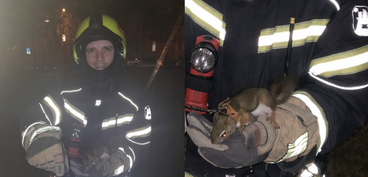 Snimka zaslona 2026-03-17 075638