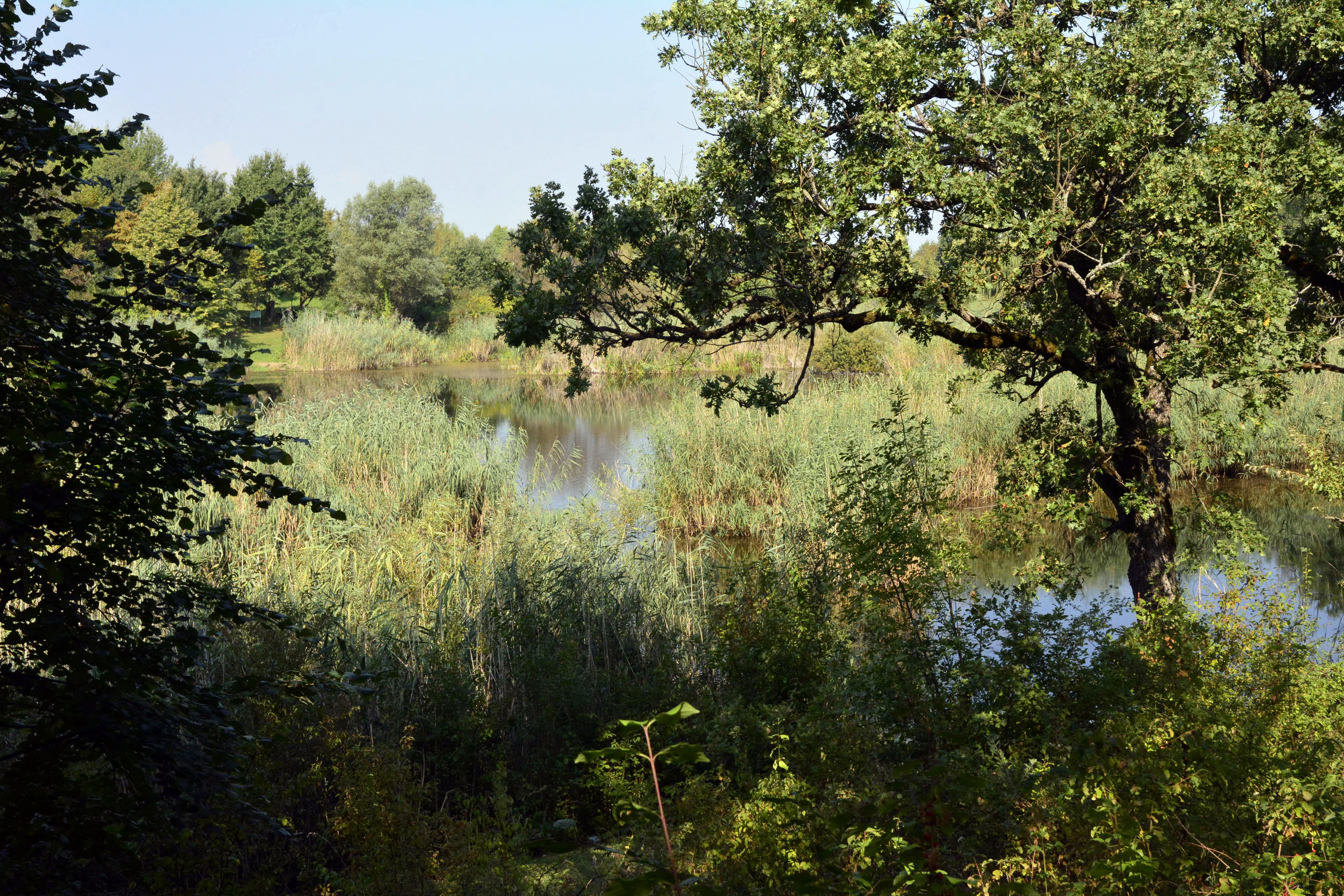16.09.2016., Slavonski Brod, Sovsko jezero. Photo: Ivica Galovic/PIXSELL